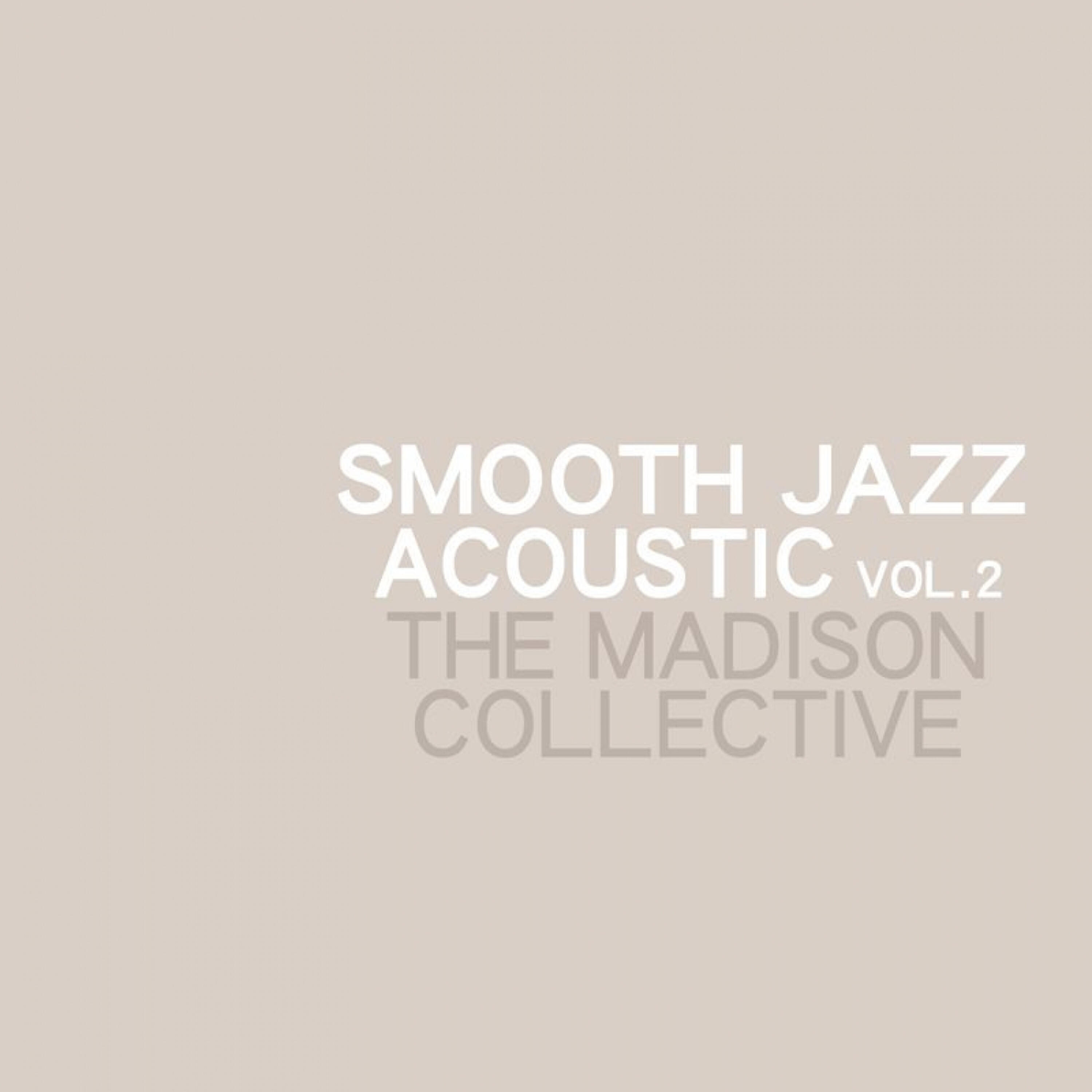 The Madison Collective - Solid Foundation