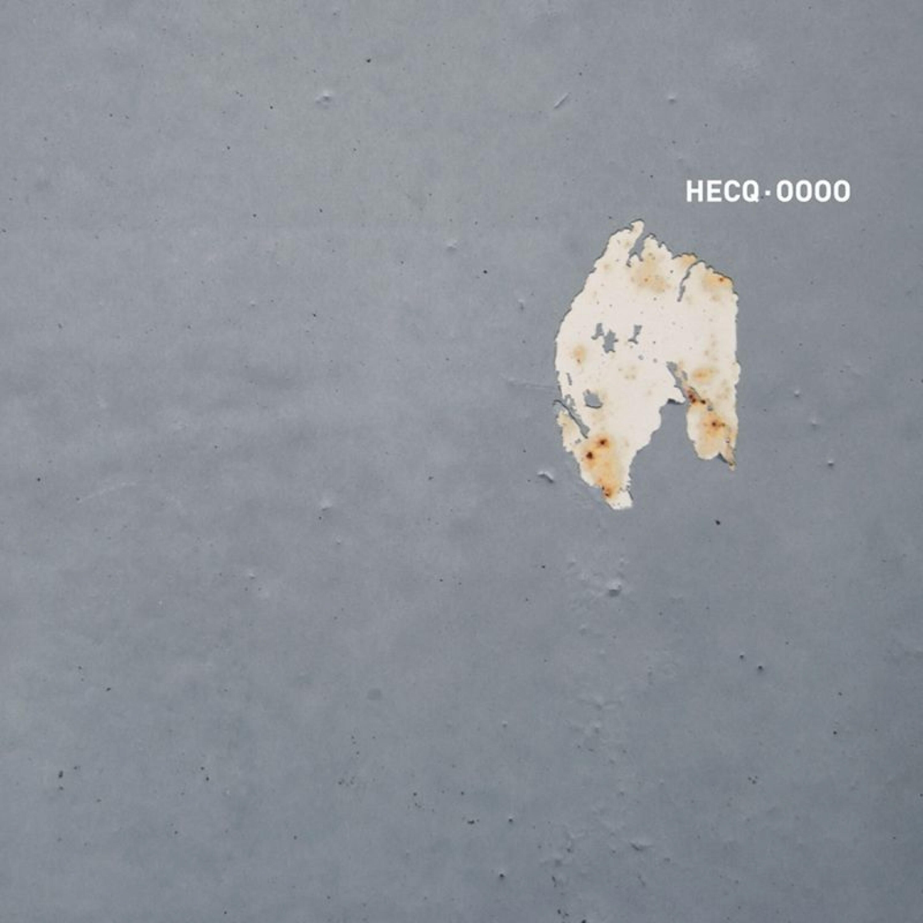 Hecq - Sknss (Vs Snog)