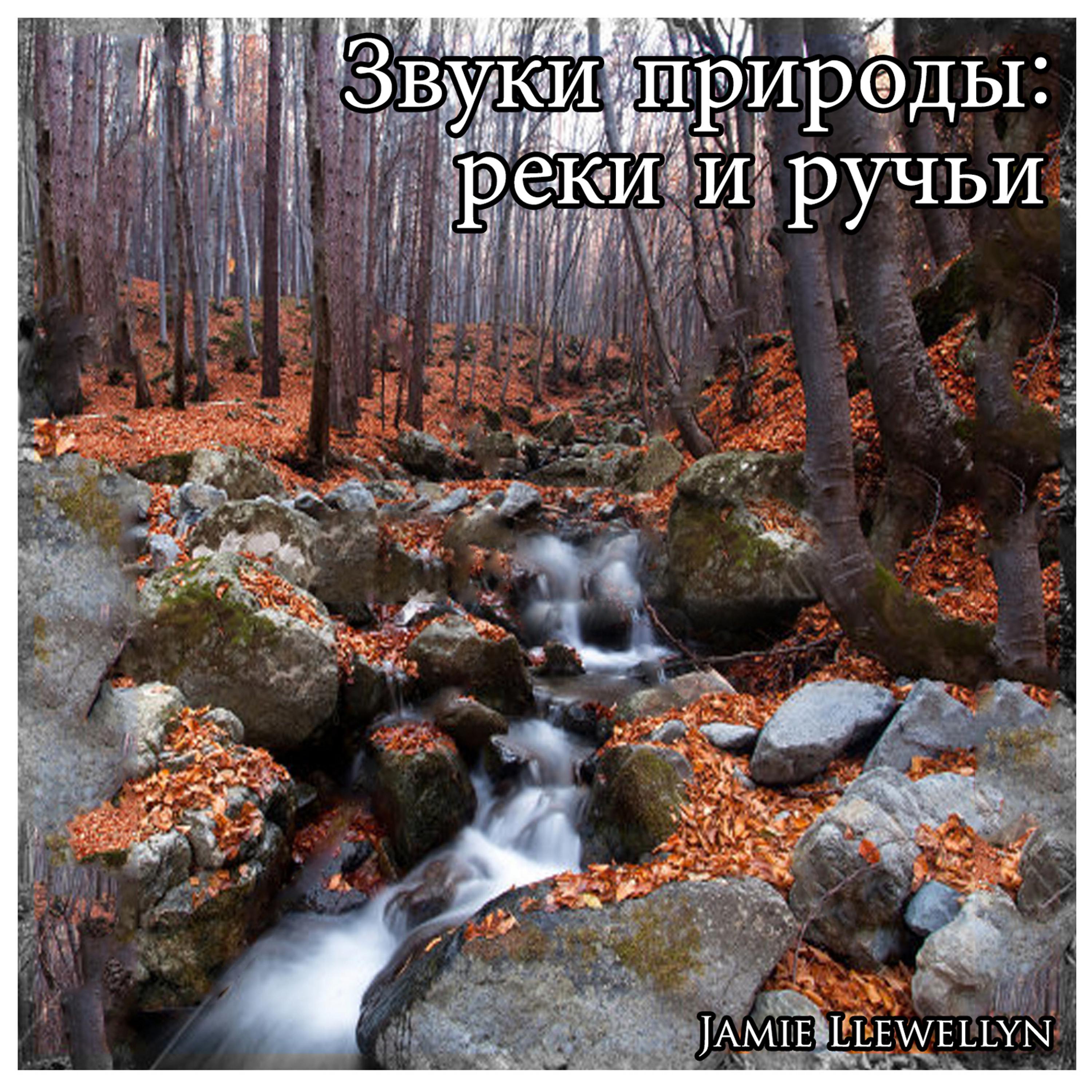 Постер альбома Звуки природы: реки и ручьи