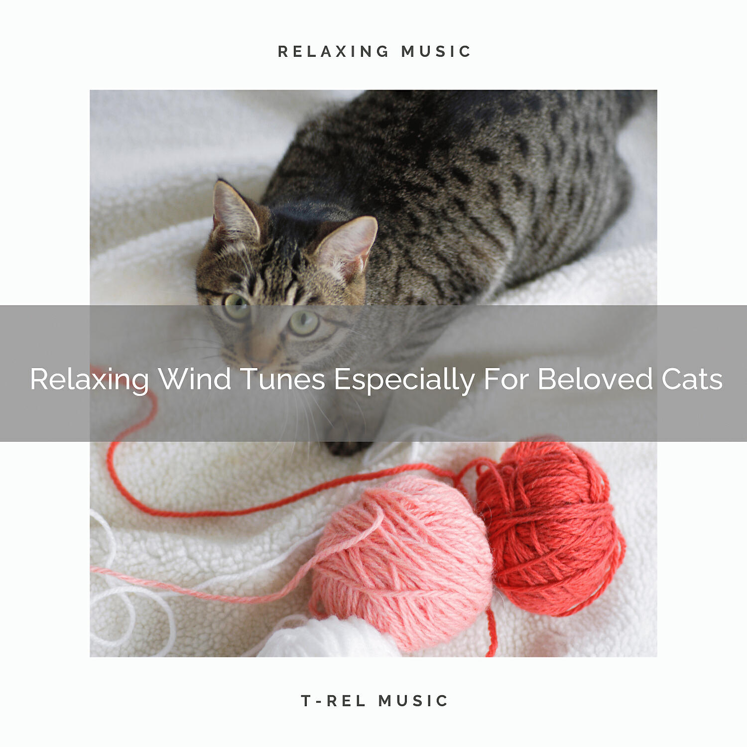 Cats Music Cradle - Interesting Leaves Noises Especially For Your Dear Cats