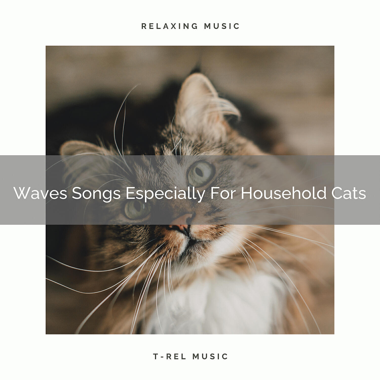 Cats Music Cradle - Relaxing Nature Sounds For Your Dear Cats
