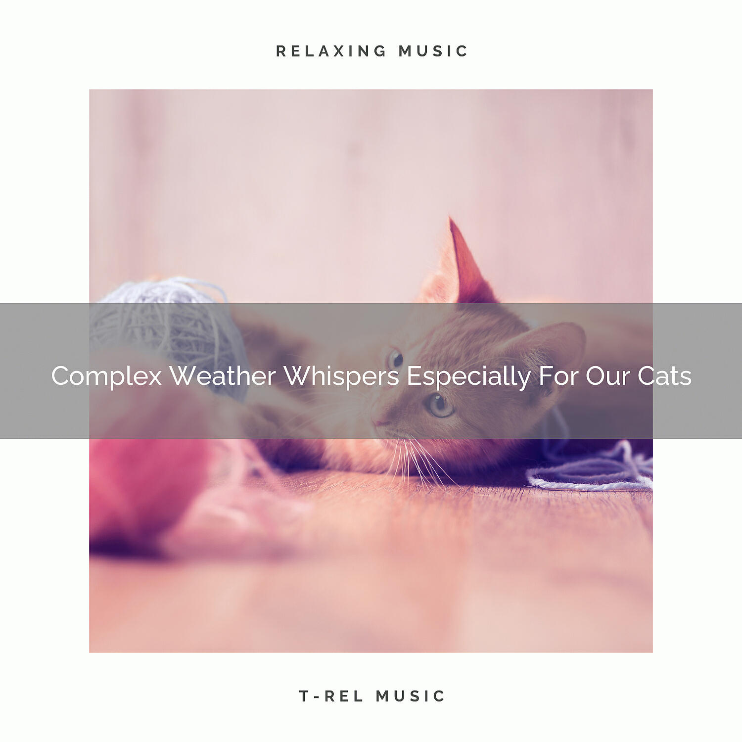 Cats Music Cradle - All Woods Sounds For Cats