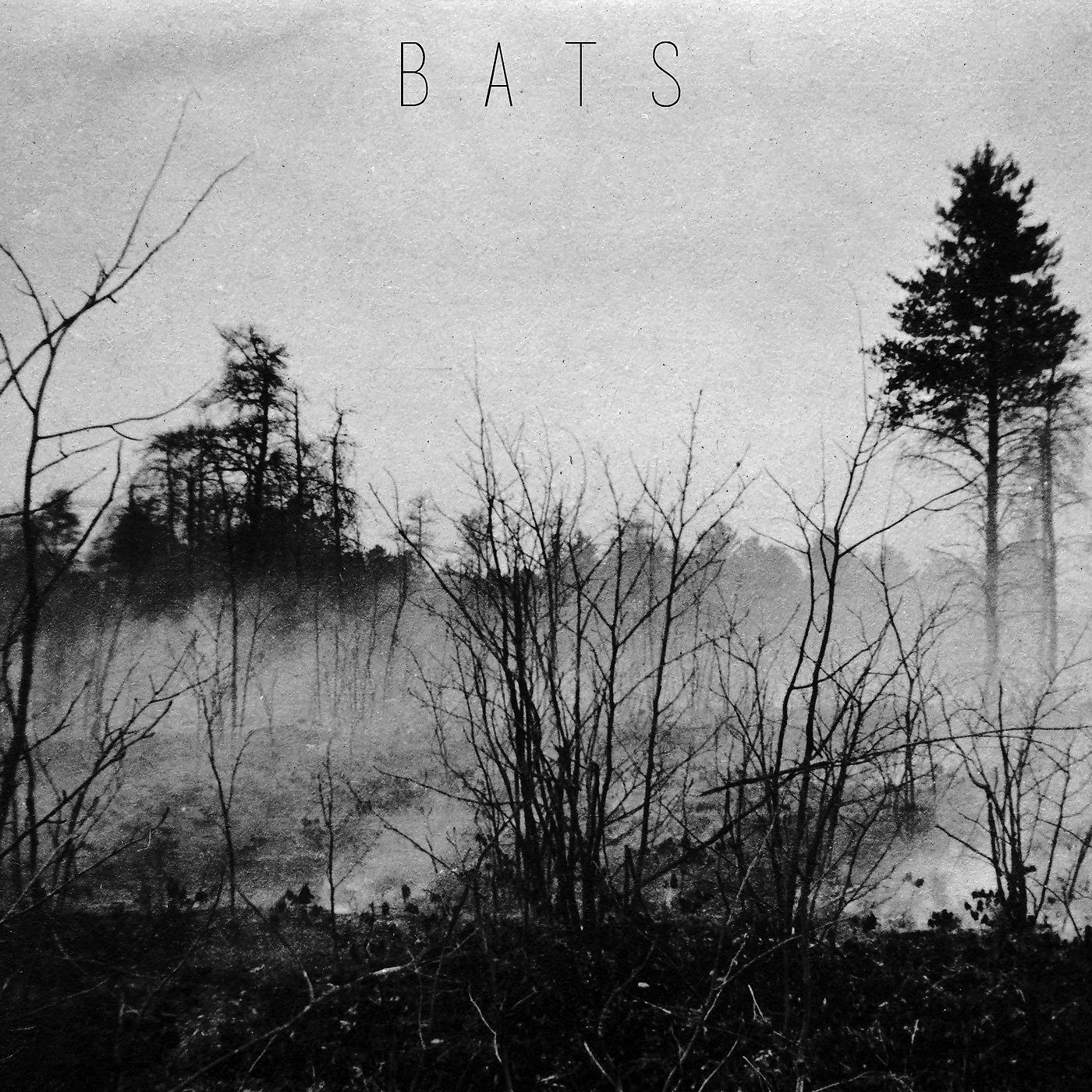 Постер альбома Bats