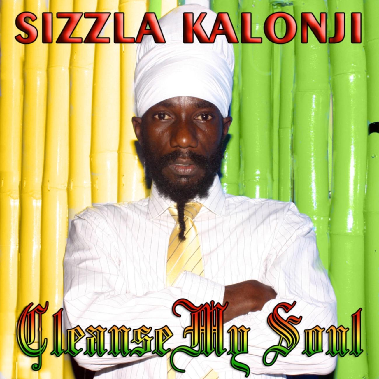Постер альбома Sizzla-Cleanse My Soul