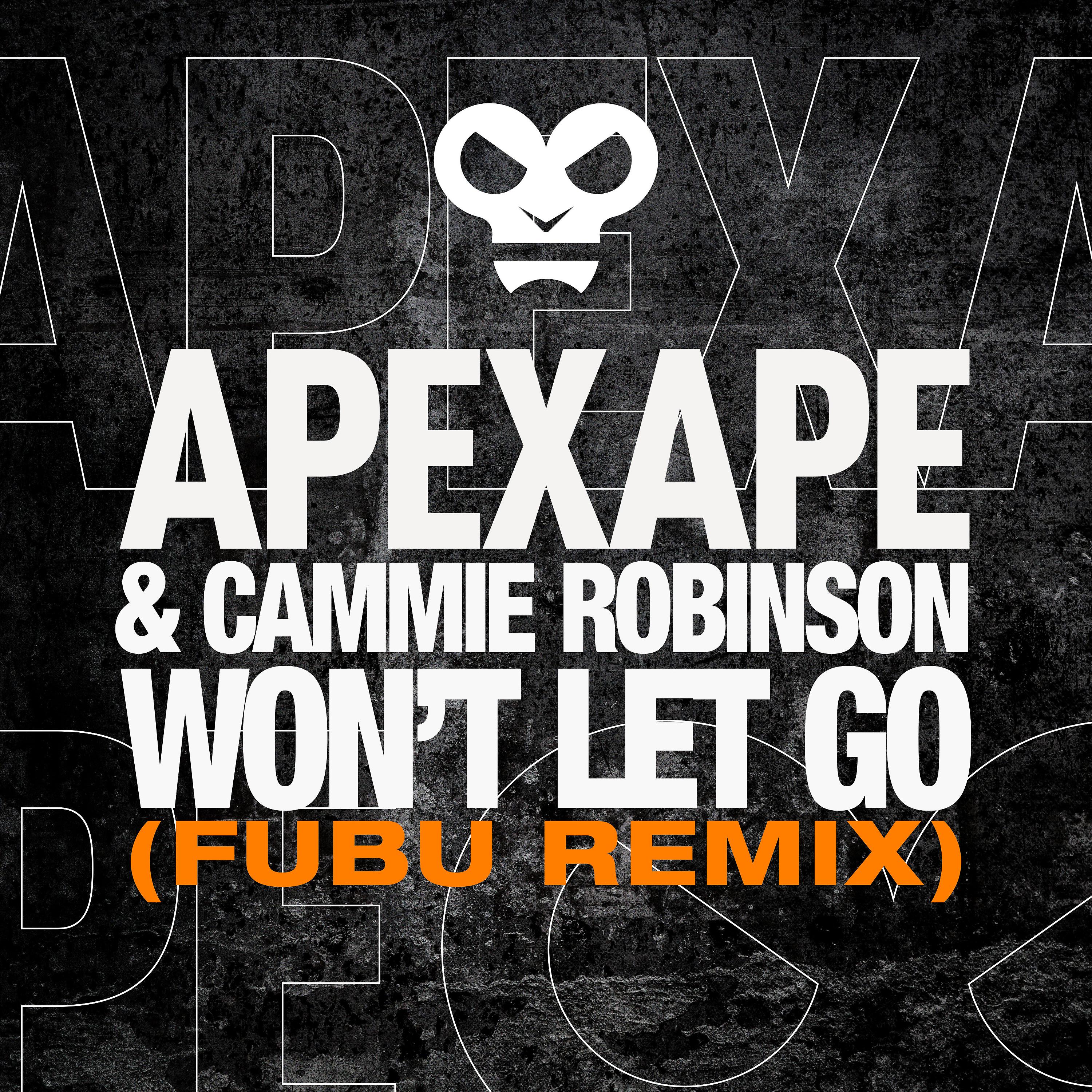 Постер альбома Won't Let Go (FuBu Remix)