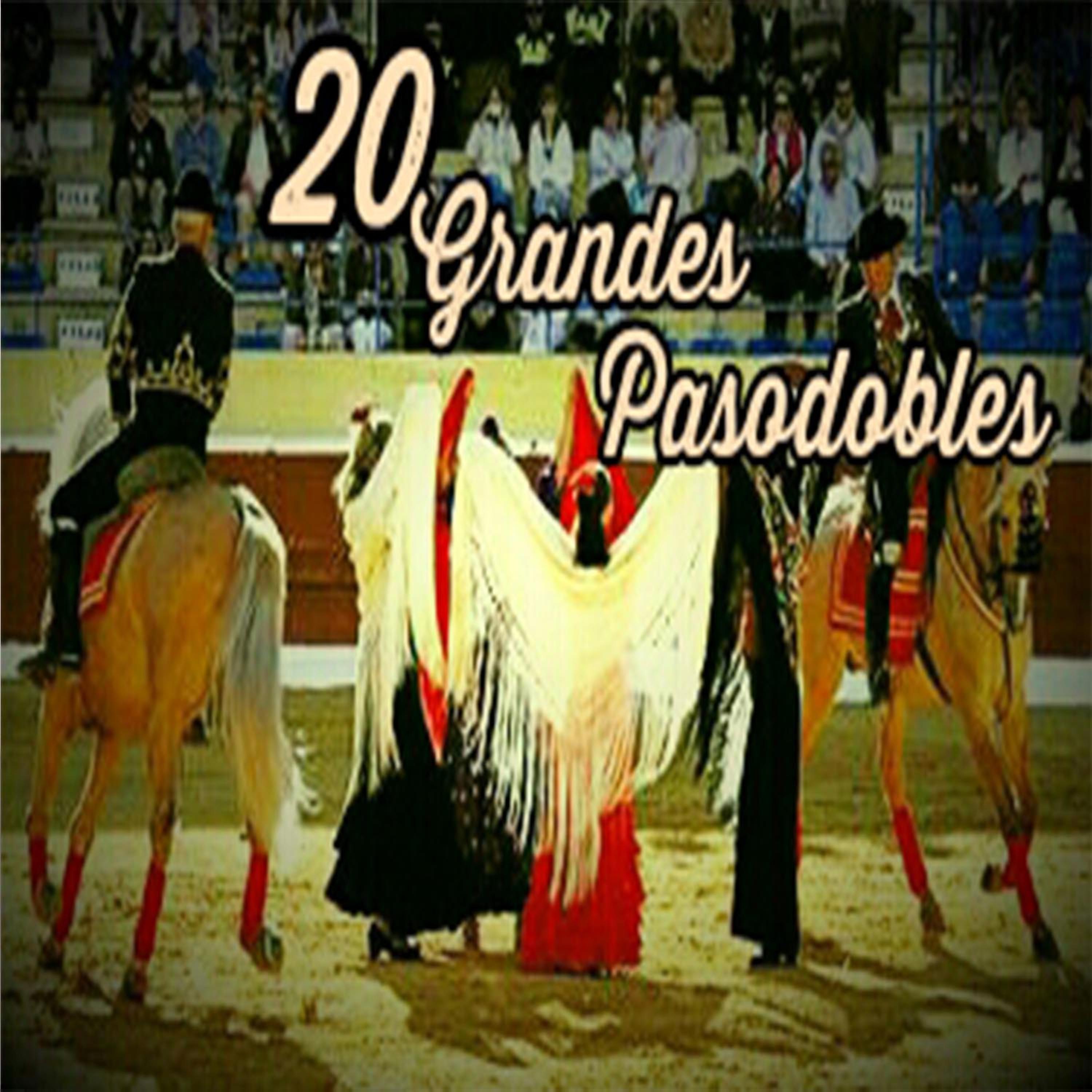Постер альбома 20 Grandes Pasodobles
