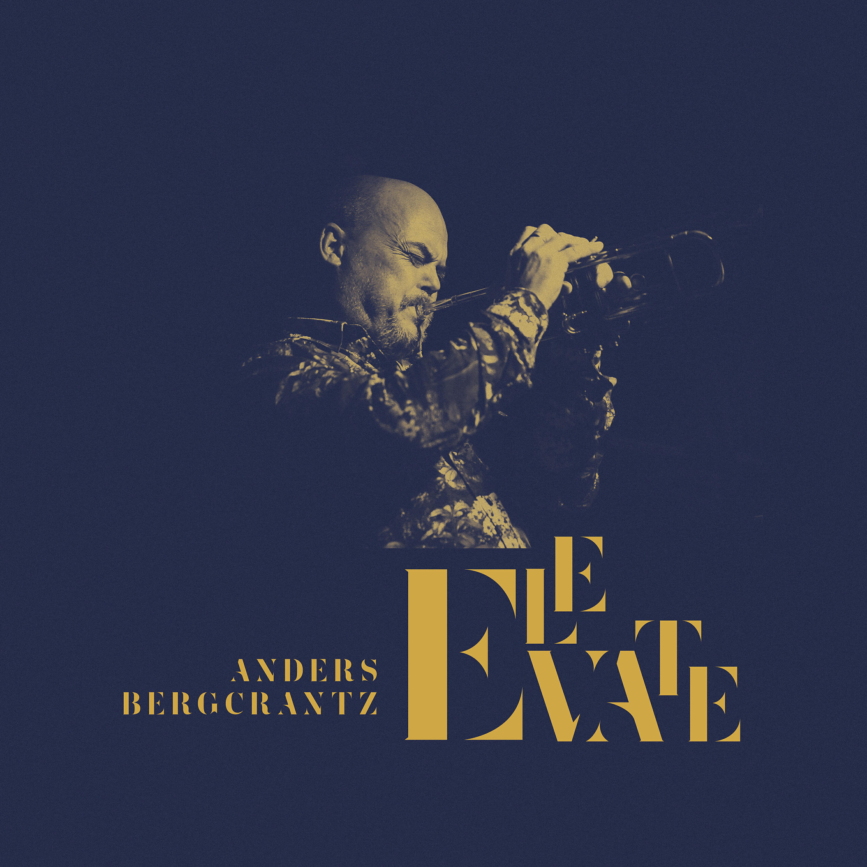 Anders Bergcrantz - Demons