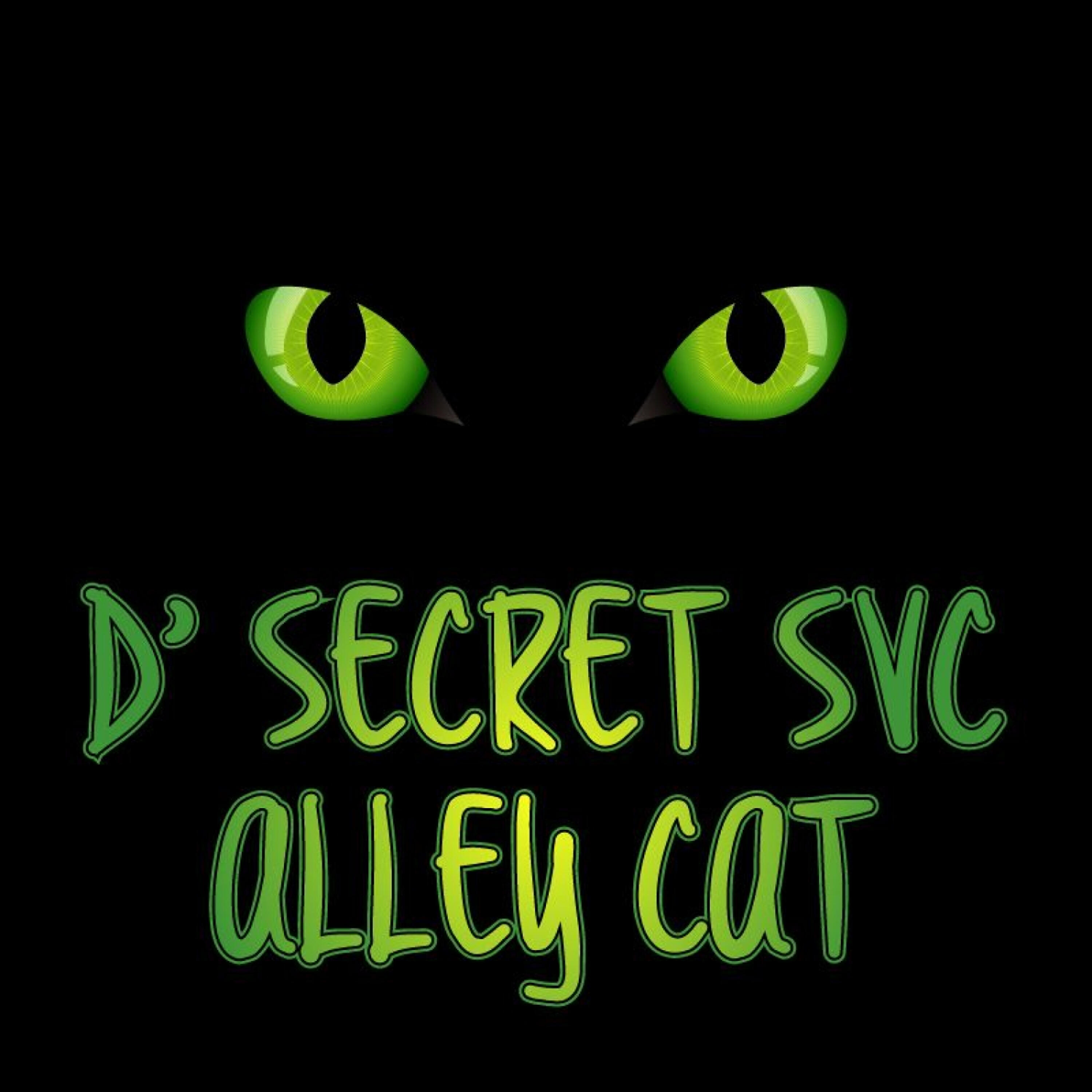 D' Secret Svc - Alley Cat-2 (Modek Remix)