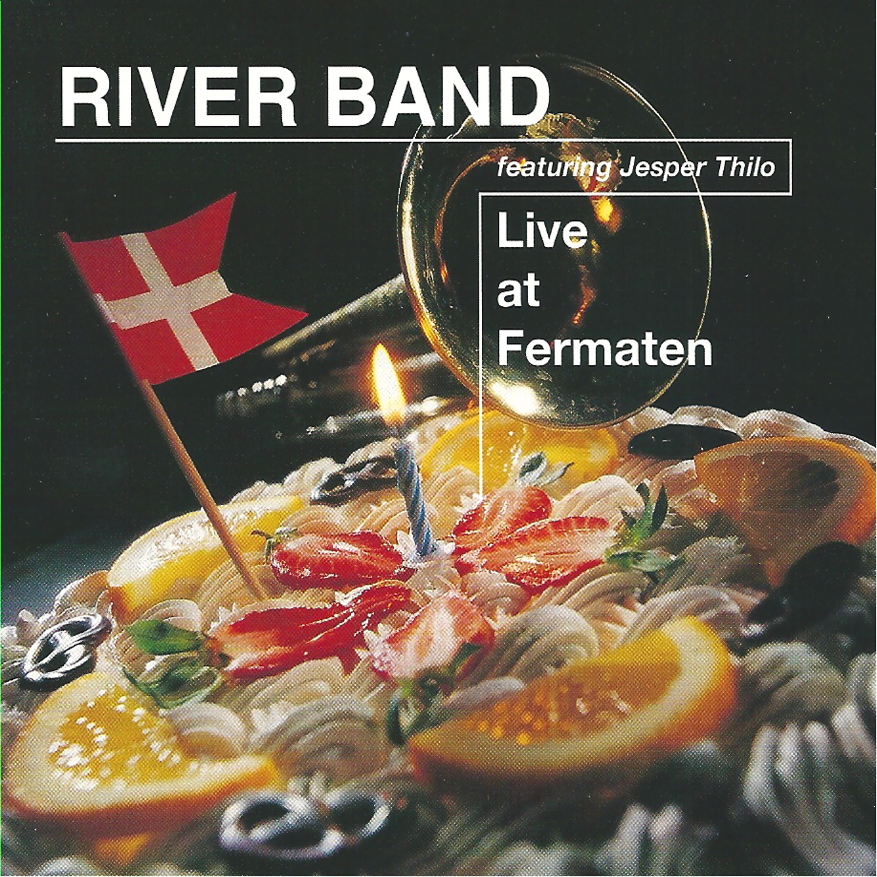 Постер альбома Live at Fermaten (Live)