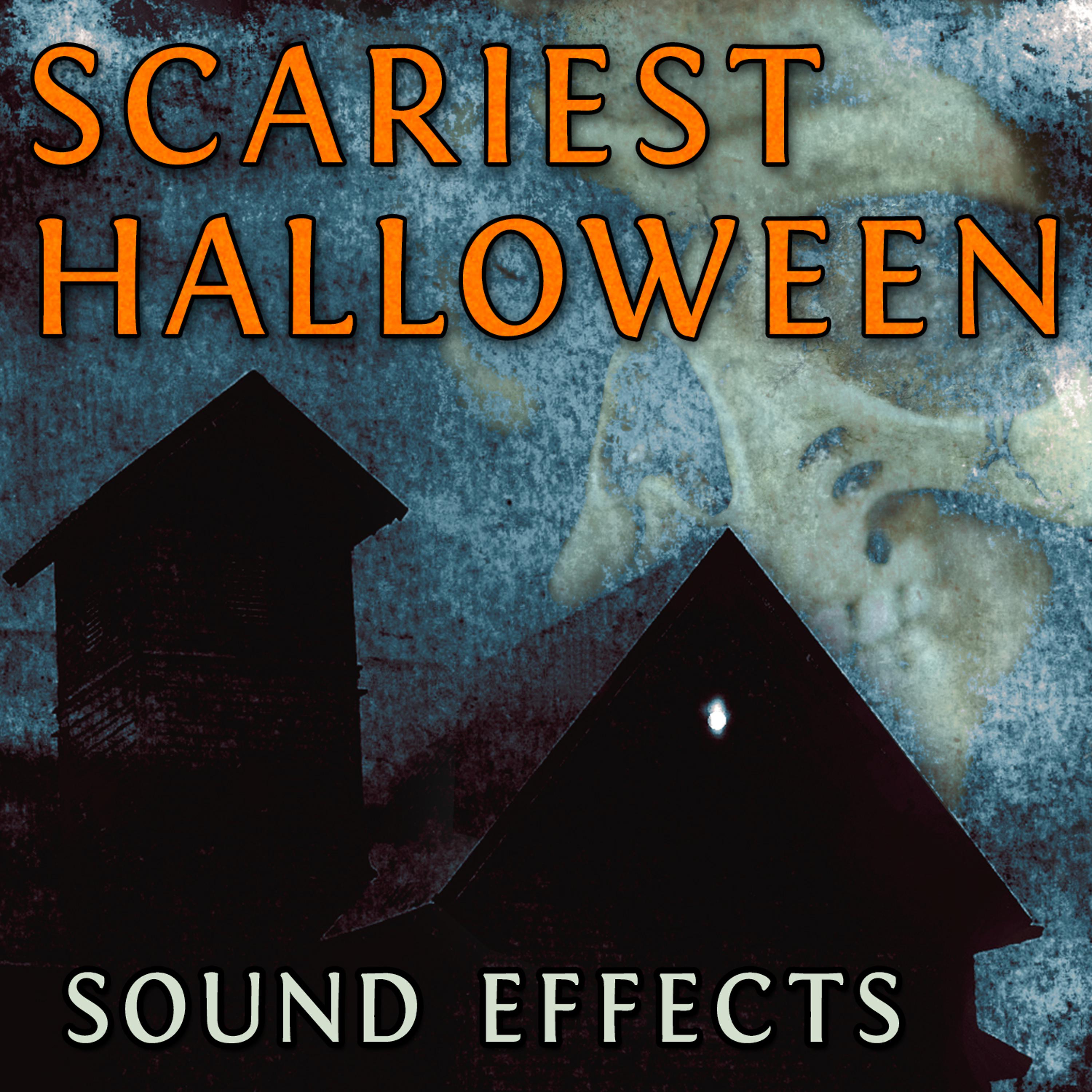 Постер альбома Scariest Halloween Sound Effects