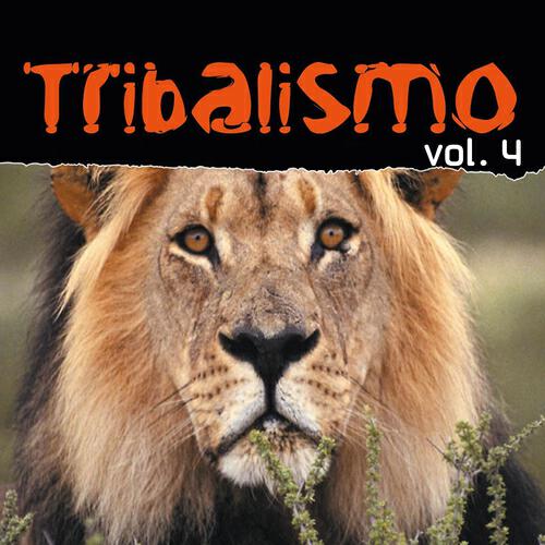FUNKY DREAM MEN - Scream and Shout (Original Mix)