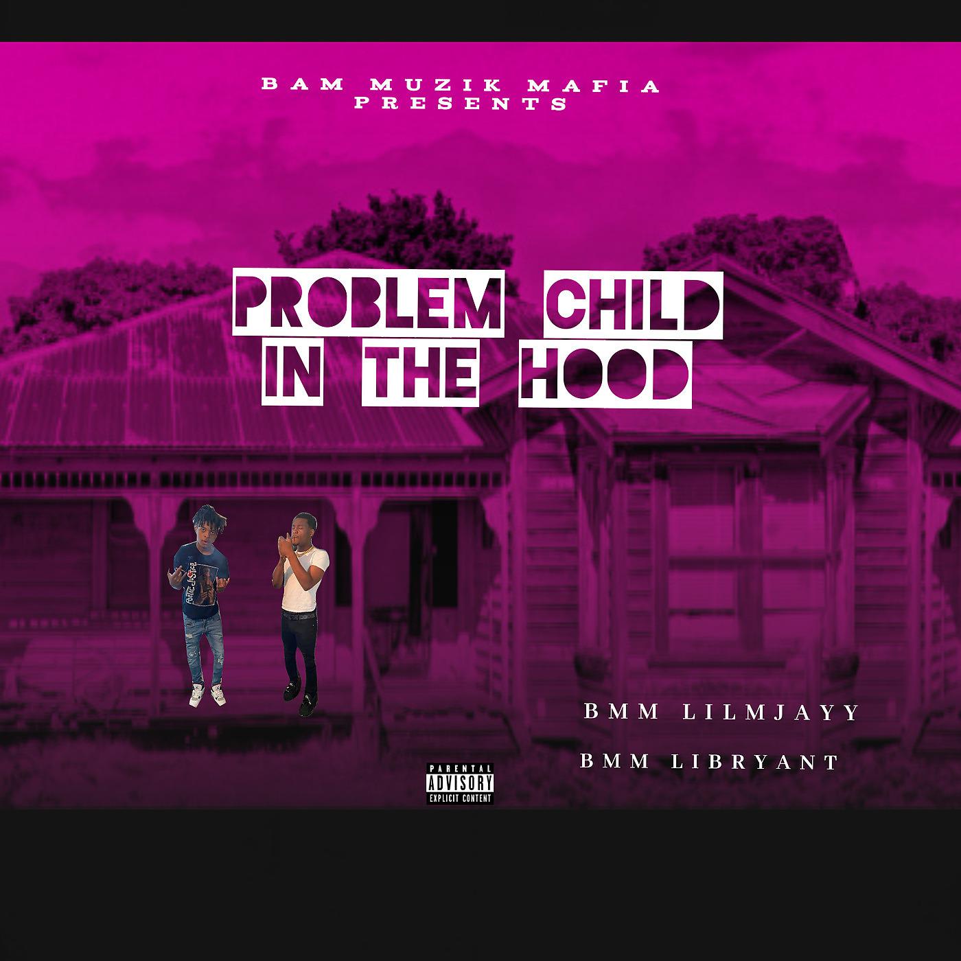 Постер альбома Problem Child in the Hood