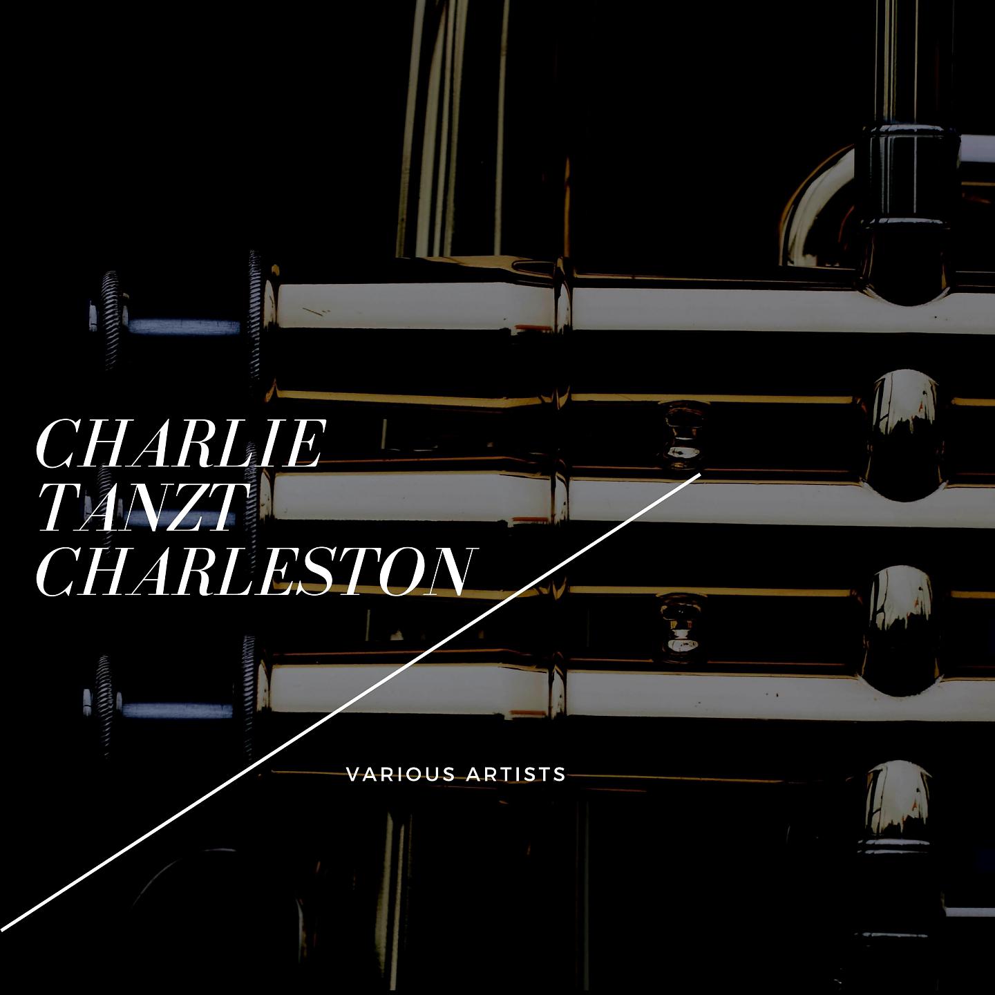 Постер альбома Charlie tanzt Charleston