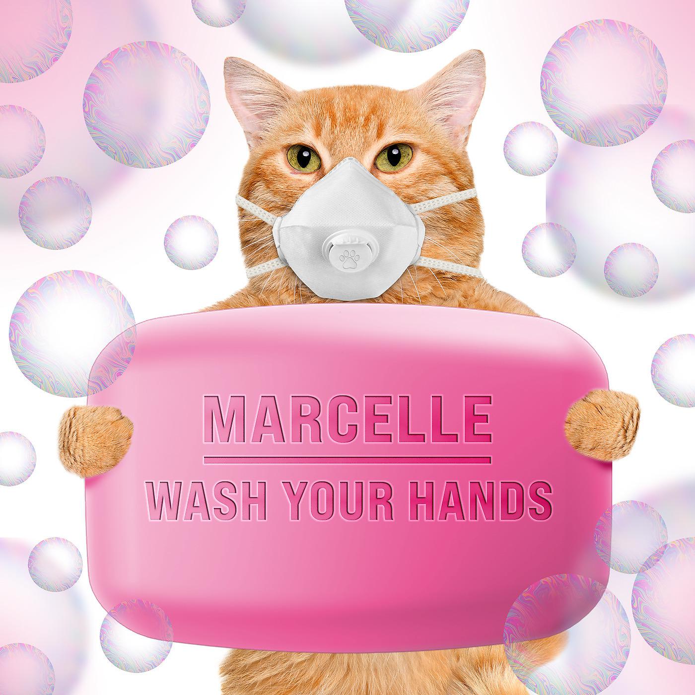 Постер альбома Wash Your Hands