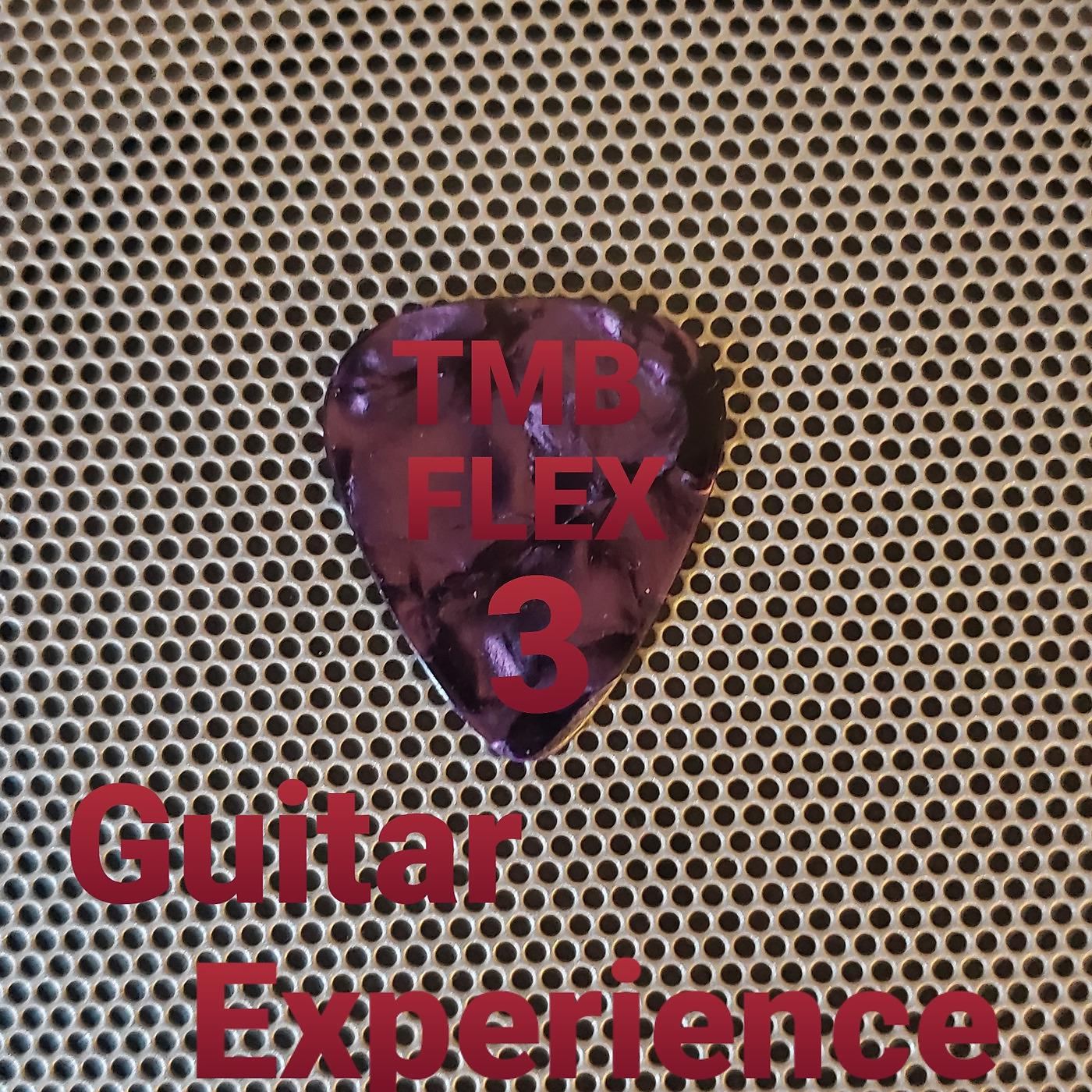 Постер альбома Flex 3 Guitar Experience