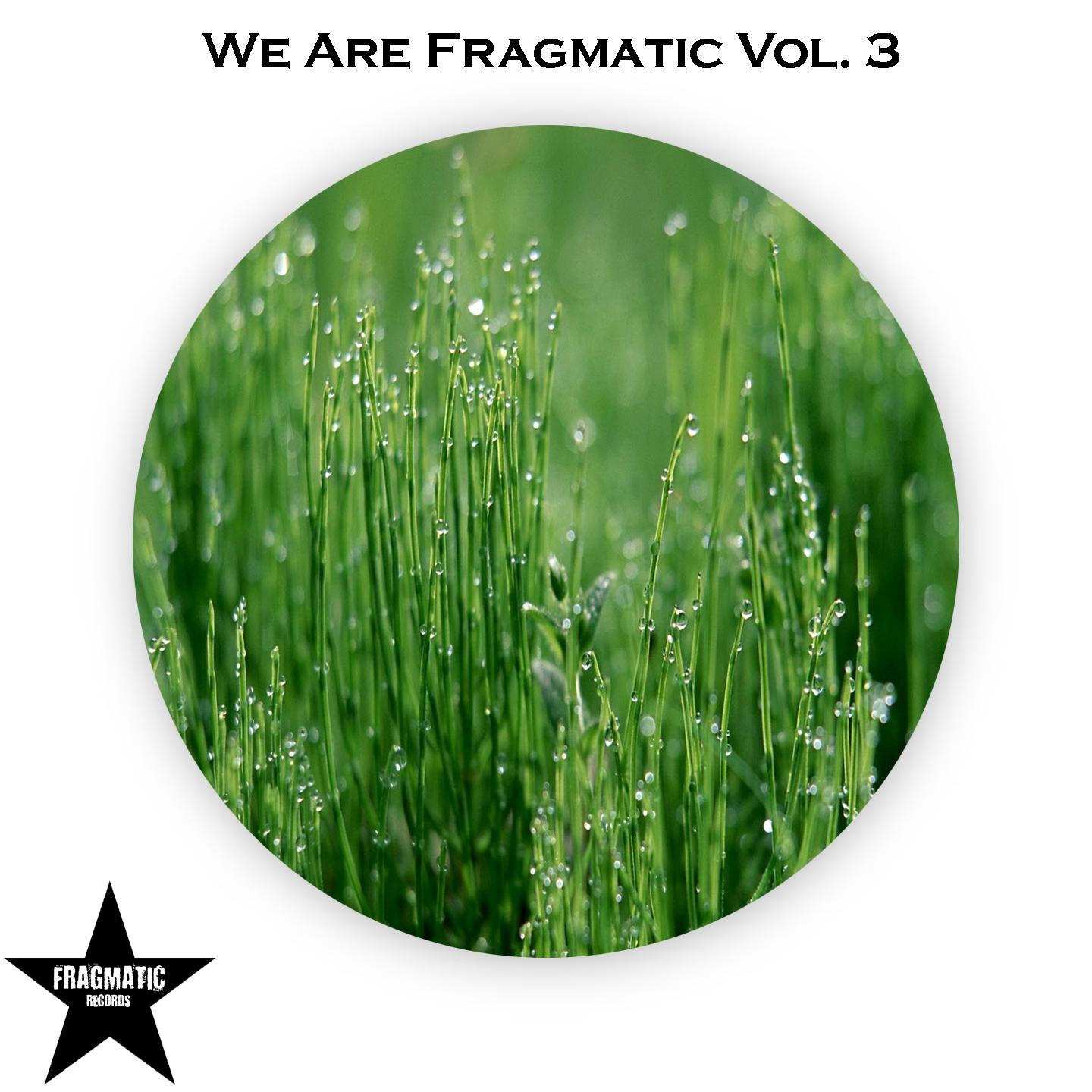 Постер альбома We Are Fragmatic, Vol. 3