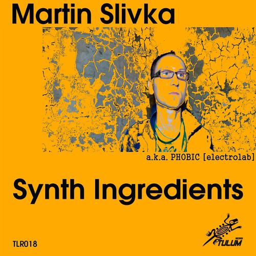 Постер альбома Synth Ingredients