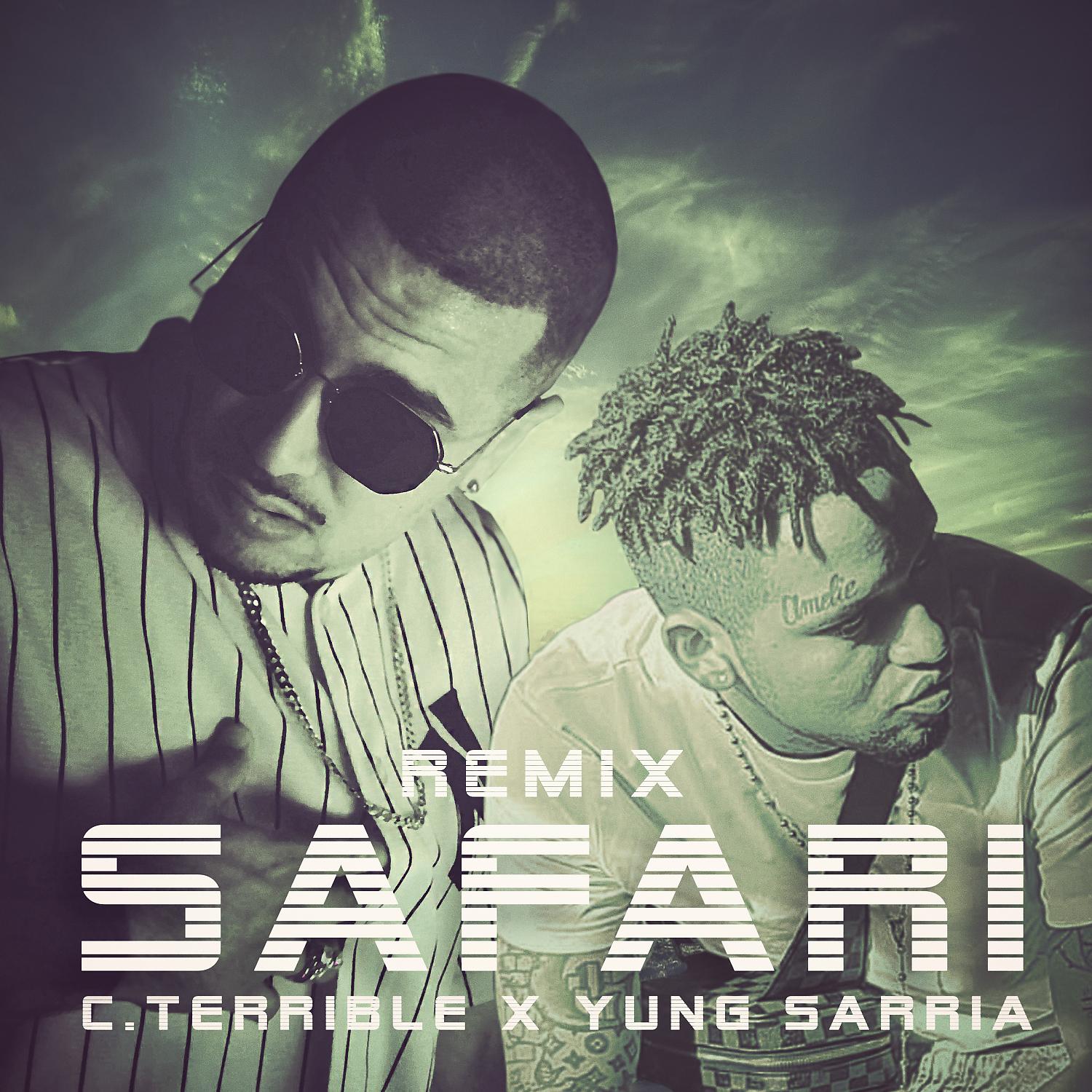 Постер альбома Safari (Remix)