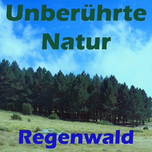 Постер альбома Unberührte natur