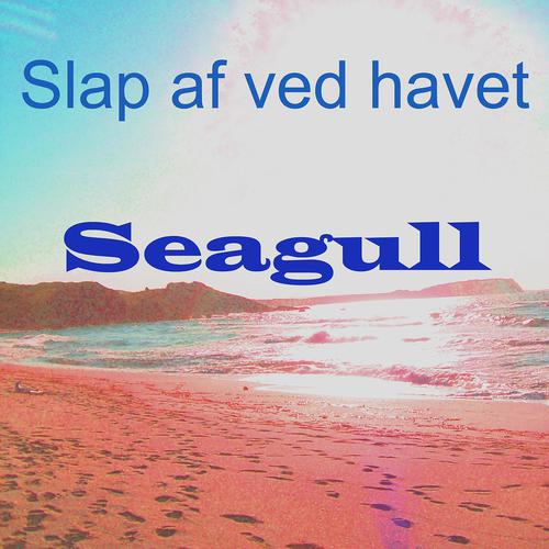 Постер альбома Slap af ved havet