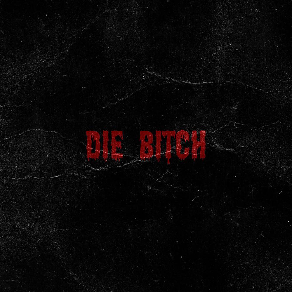 Постер альбома Die Bitch