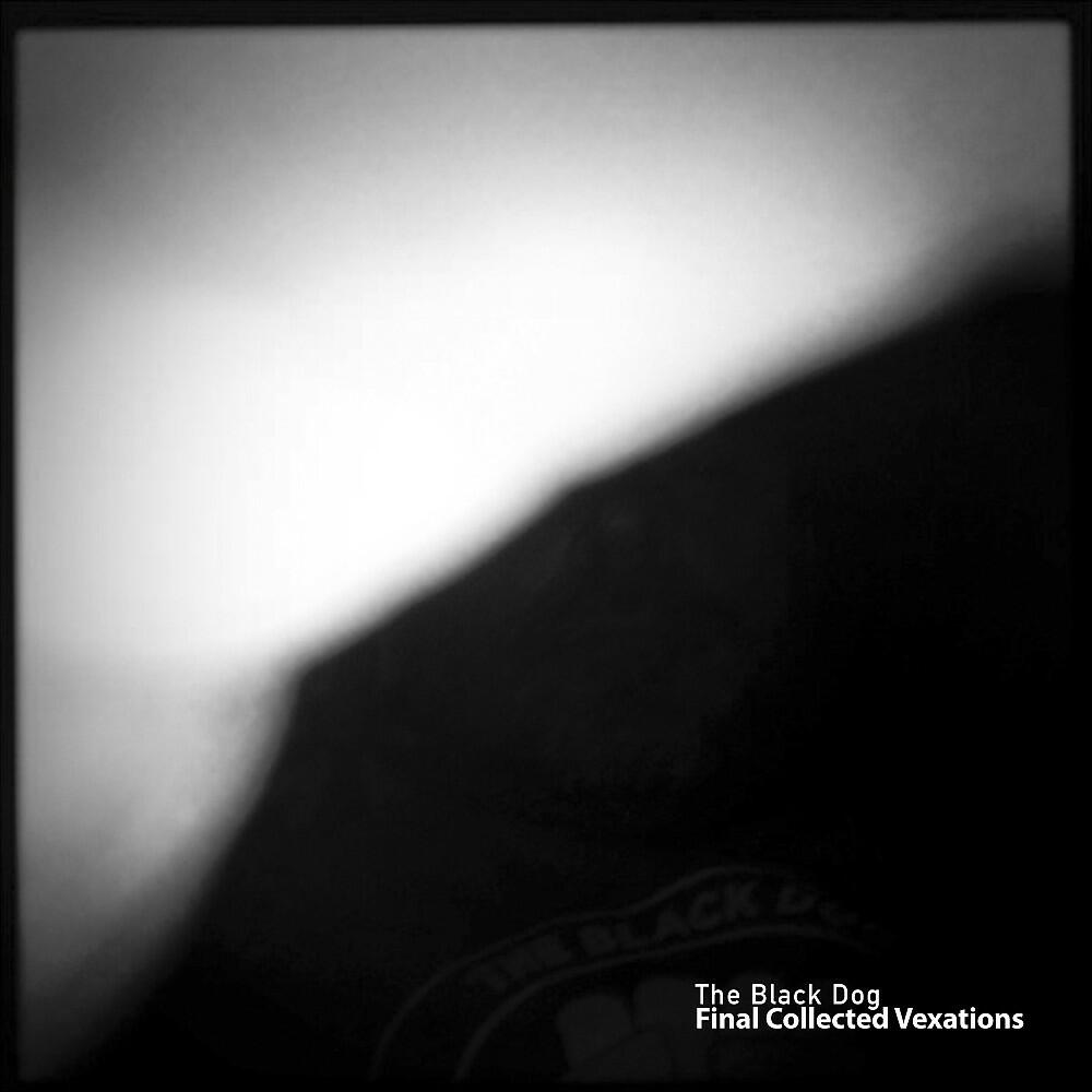 The Black Dog - You're Only Sql (Bcn Mix)