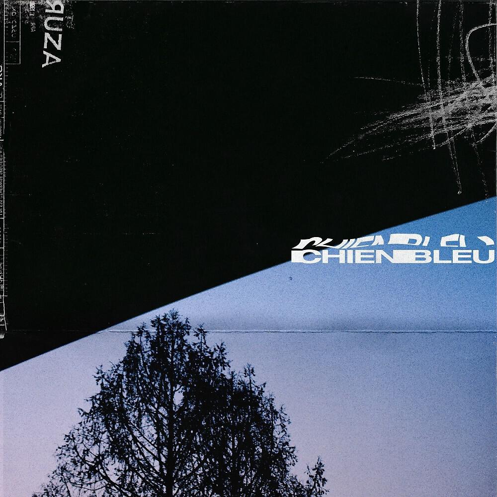 Chien Bleu - Azur