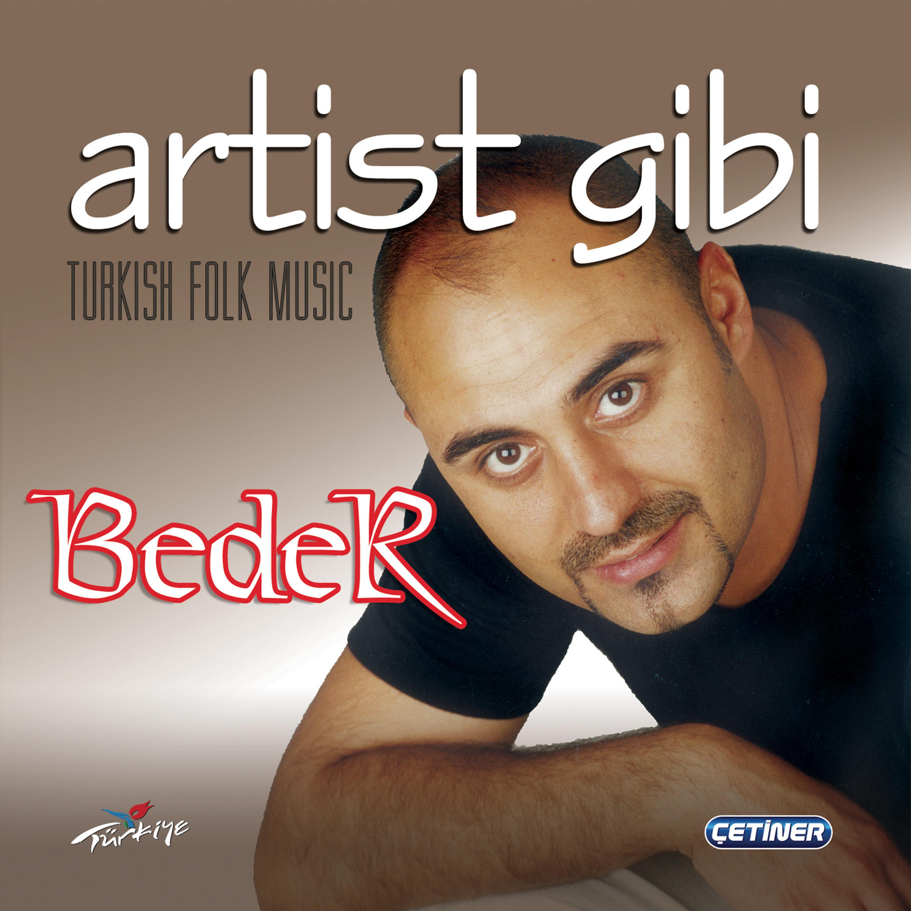 Постер альбома Artist Gibi
