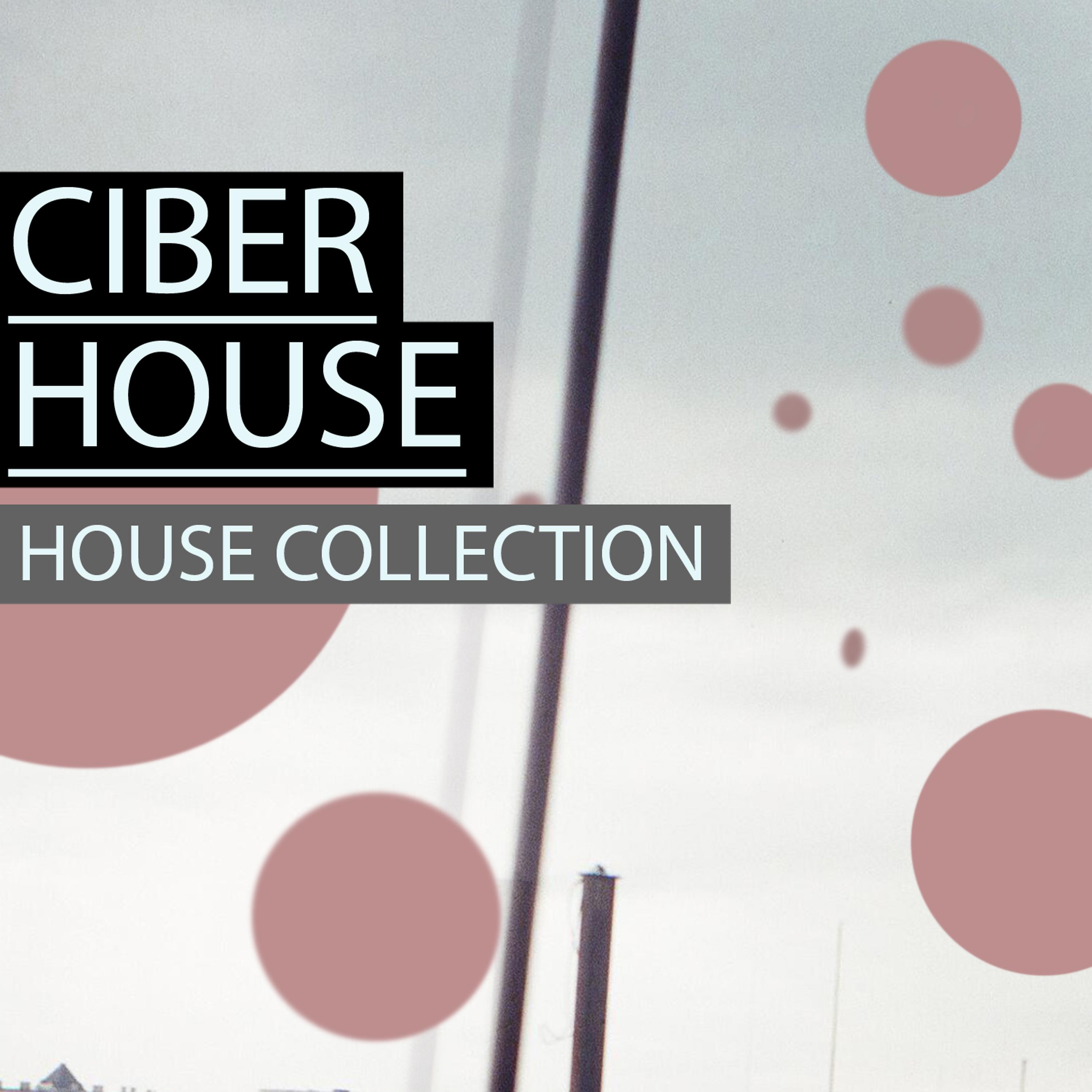 Постер альбома Ciber House