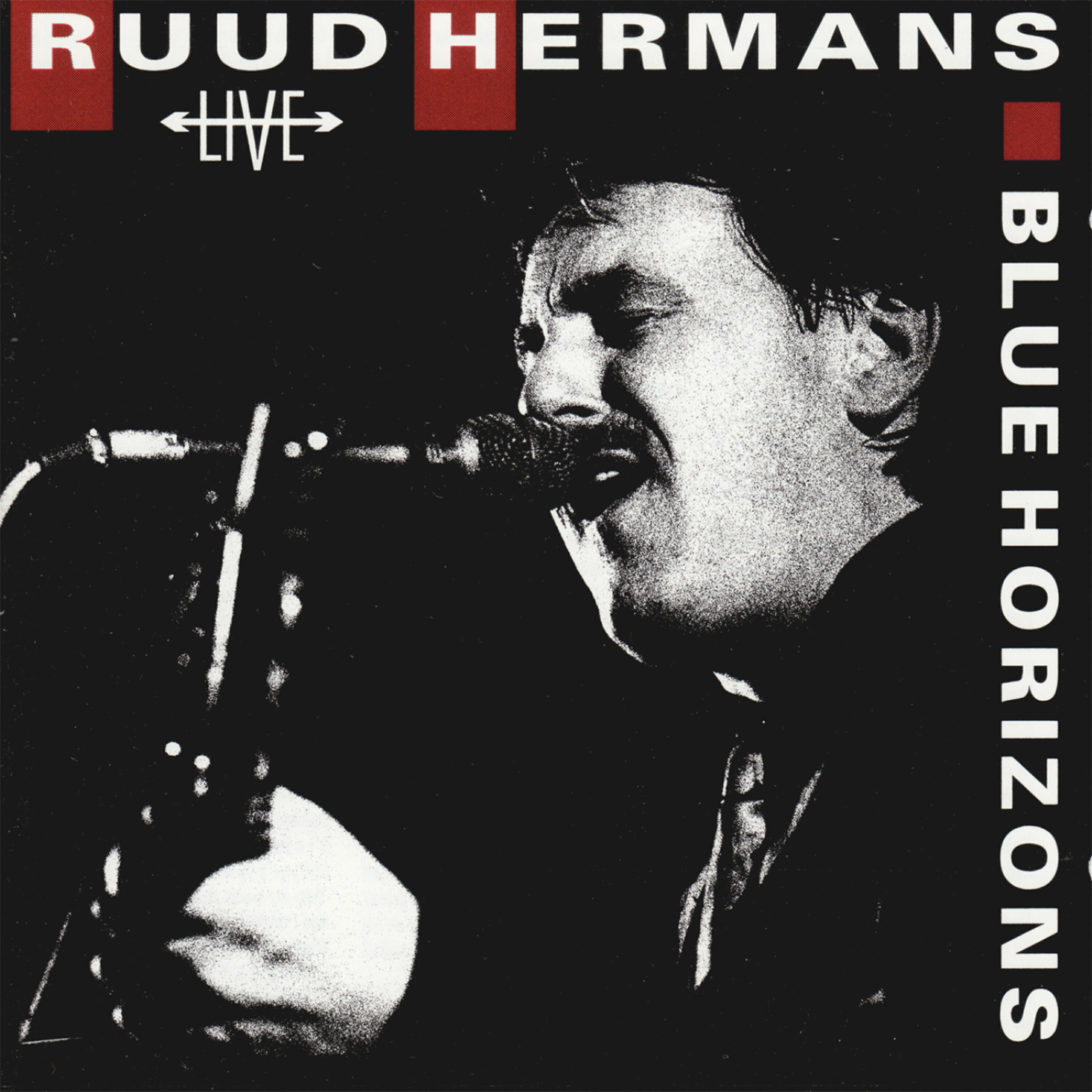 Ruud Hermans - If Lonely Would Be the Answer (Live)
