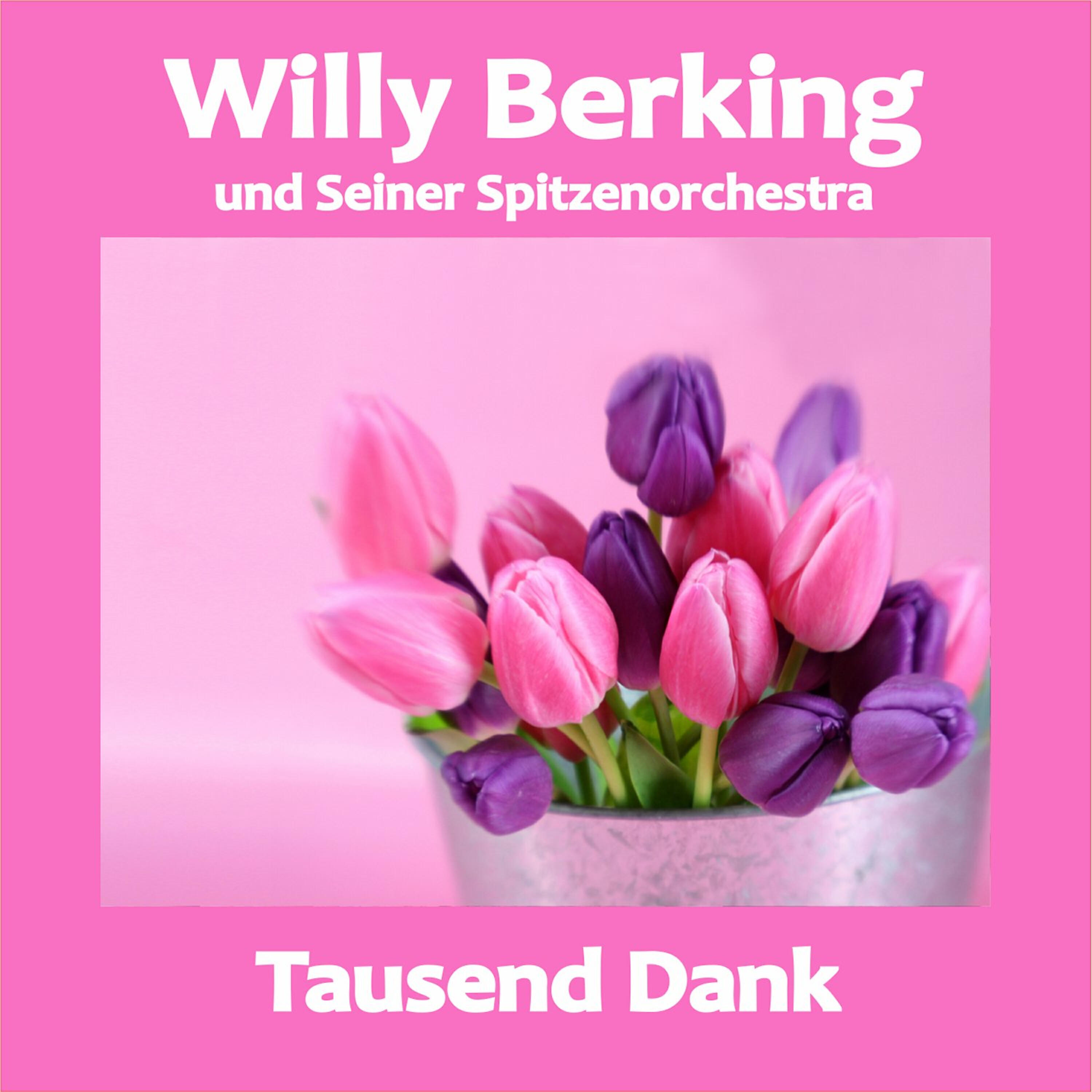 Willy Berking - Feuerwerk