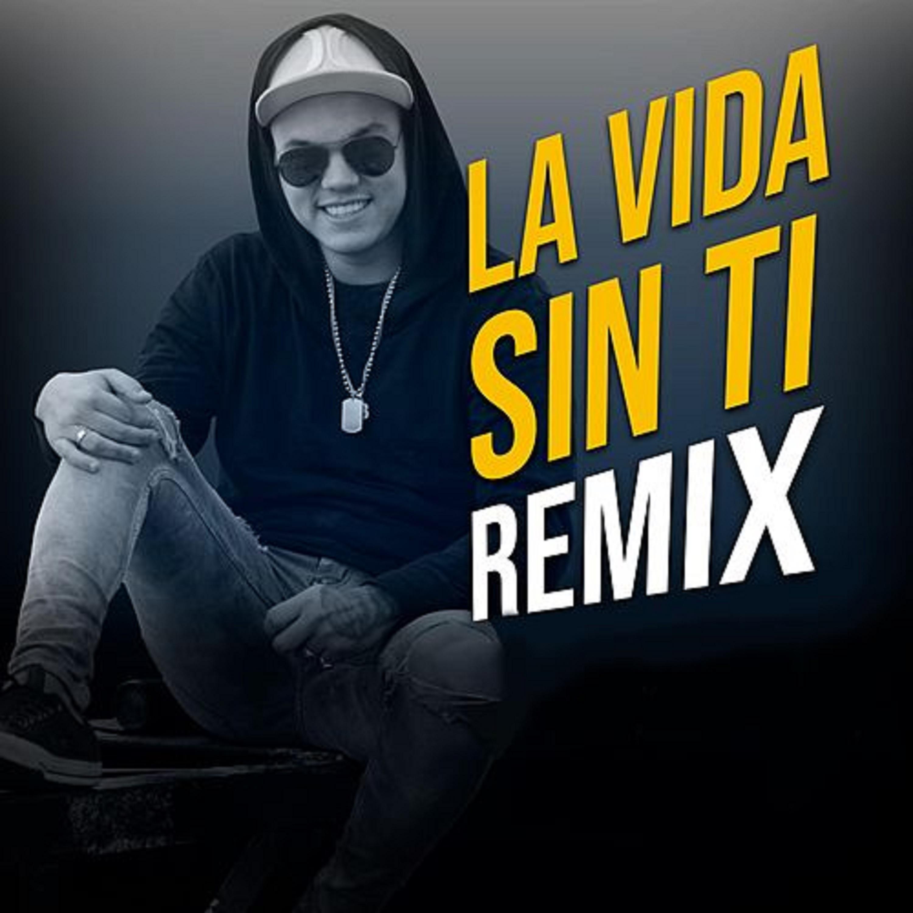 Постер альбома La Vida Sin Ti (Remix)