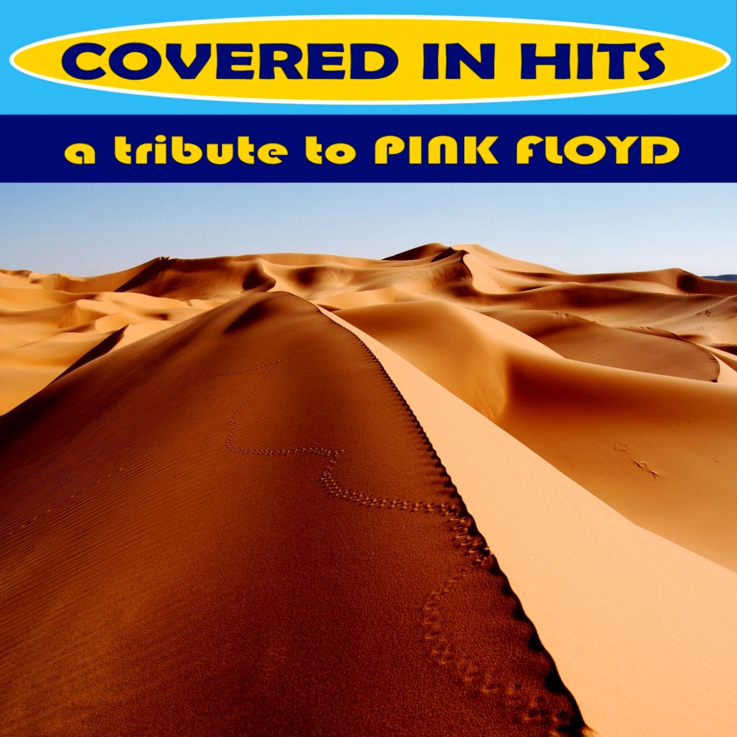 Covered in Hits - On the Turning Away (Originally performed by Pink Floyd)