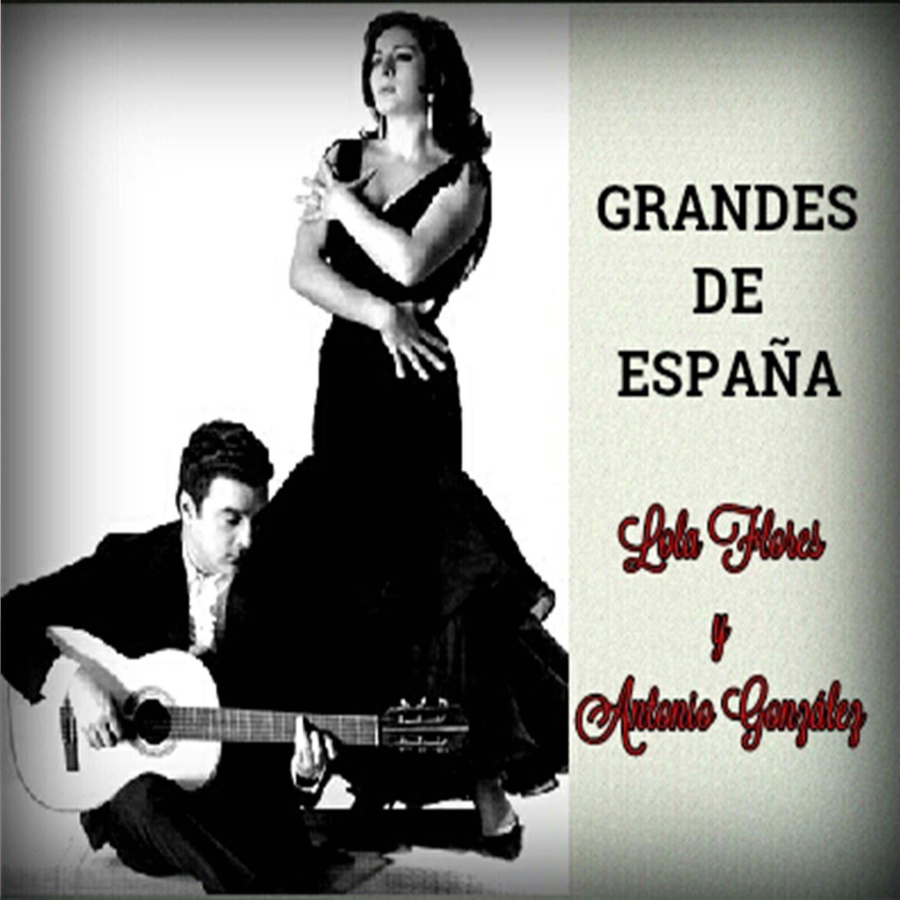 Постер альбома Grandes de España