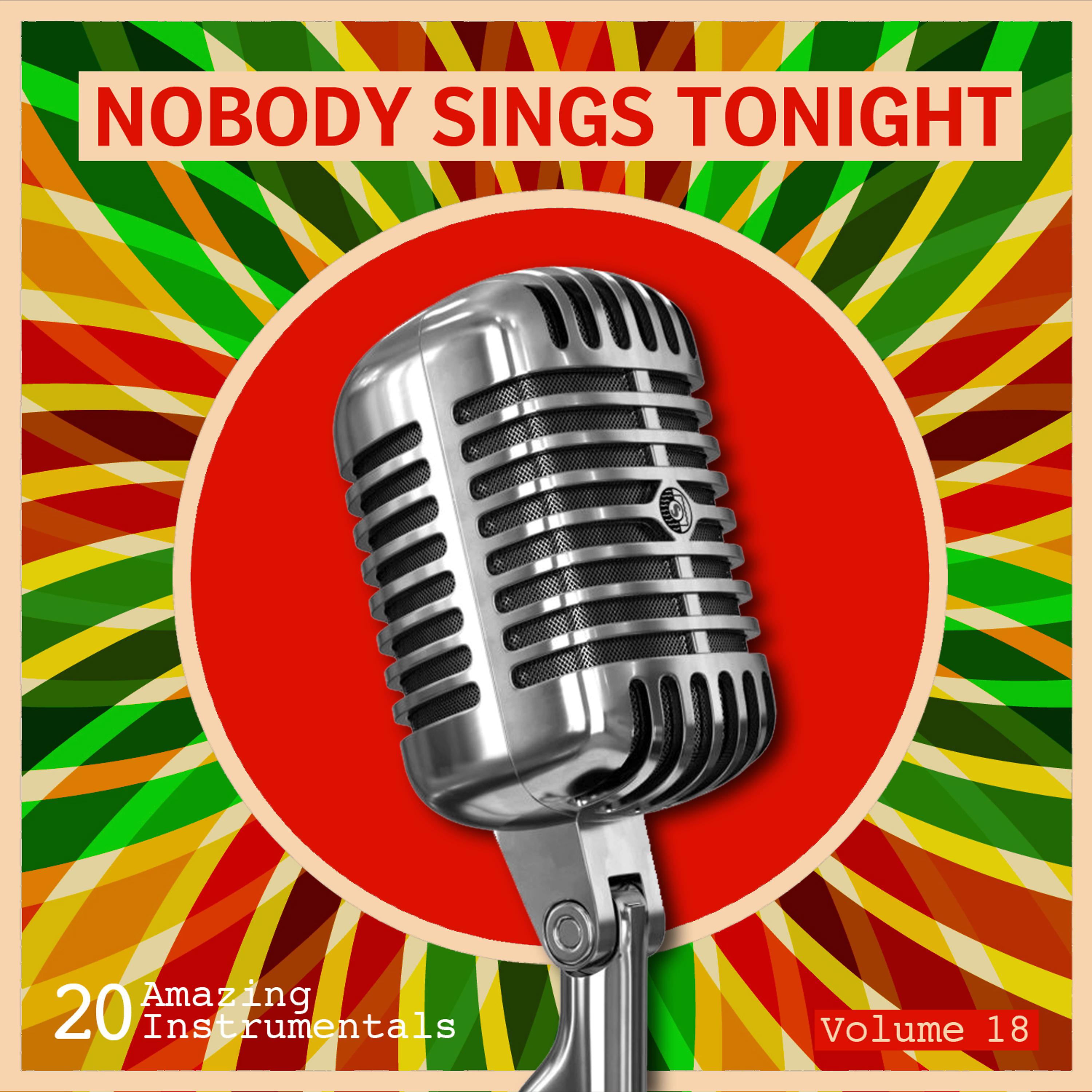 Постер альбома Nobody Sings Tonight: Great Instrumentals Vol. 18