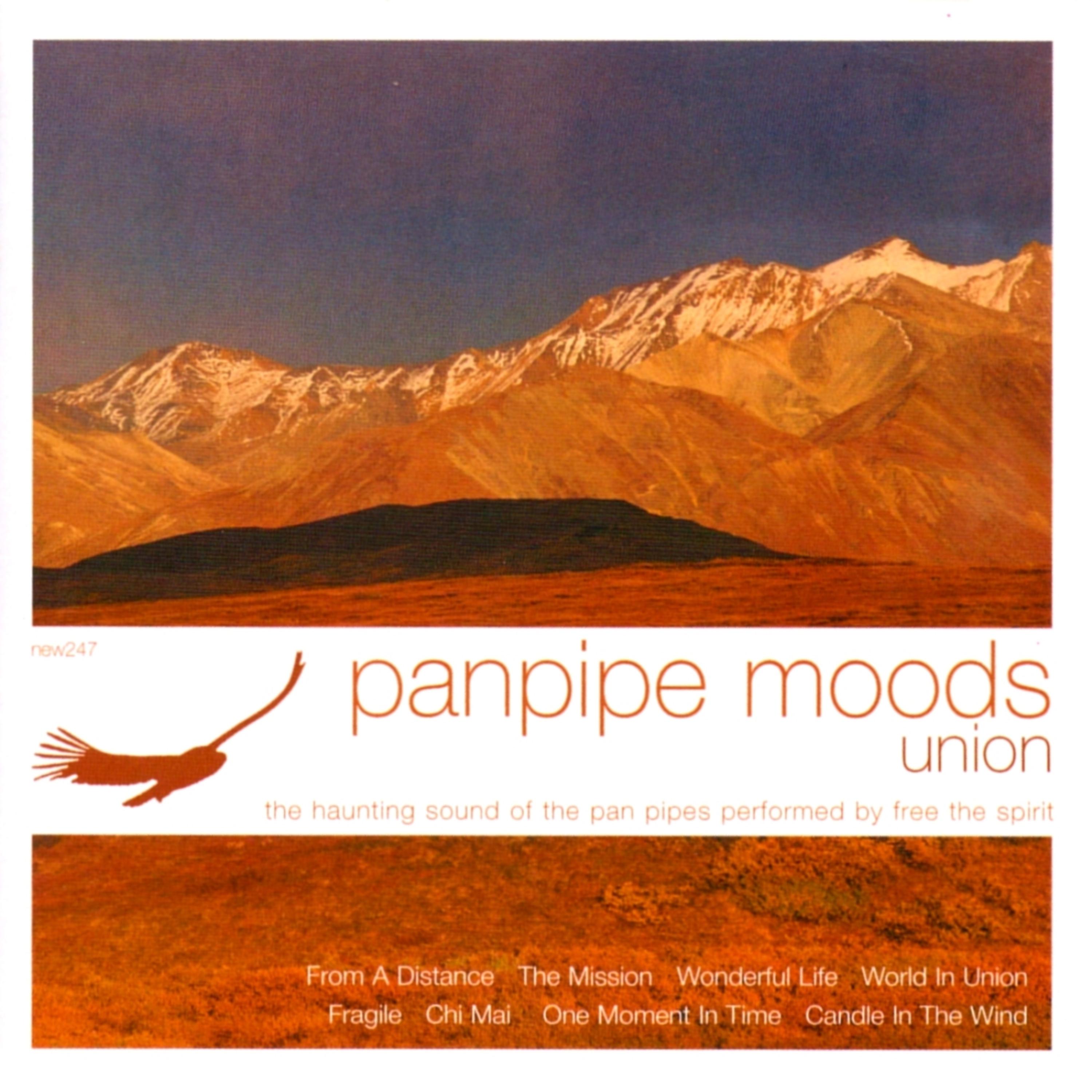 Постер альбома Panpipe Moods: Union