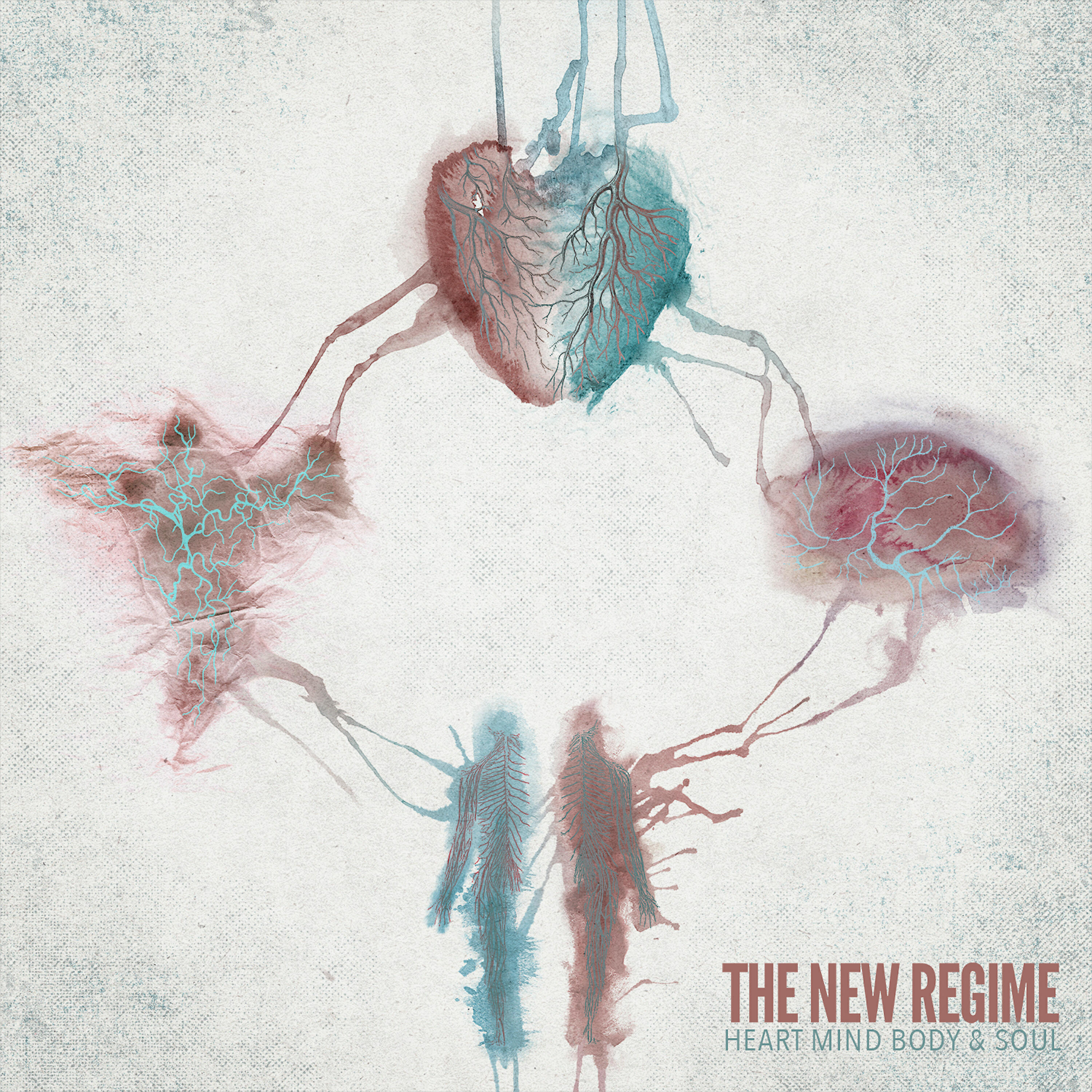 The New Regime - Knocking Down Your Door