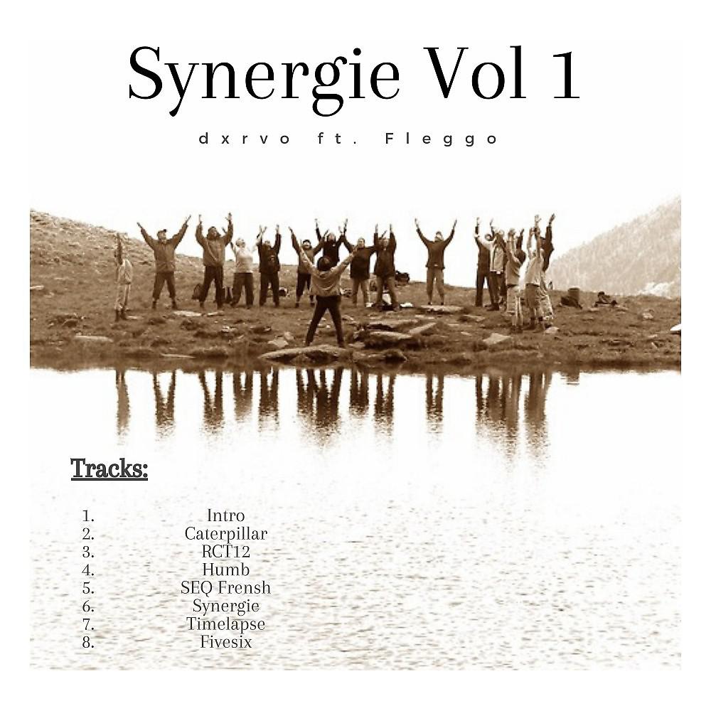 Постер альбома Synergie, Vol. 1