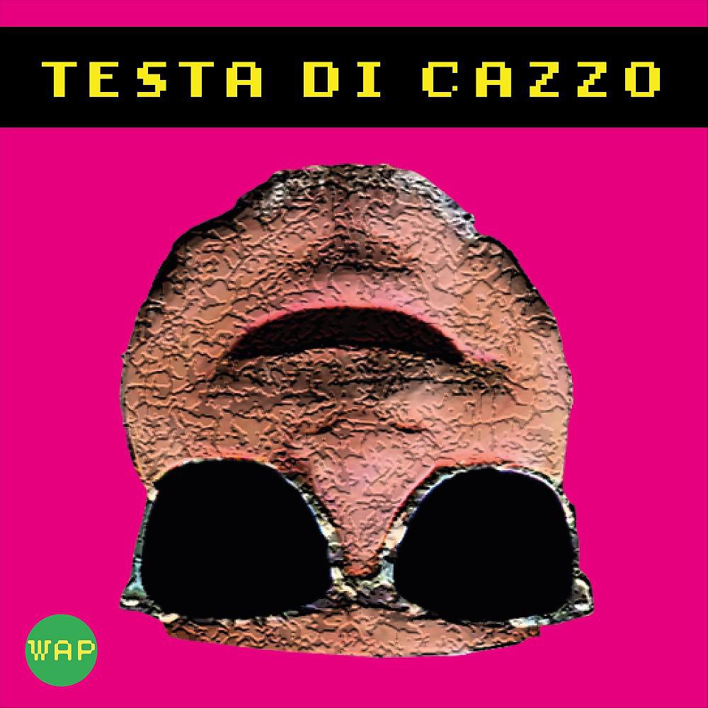 Постер альбома Testa di cazzo