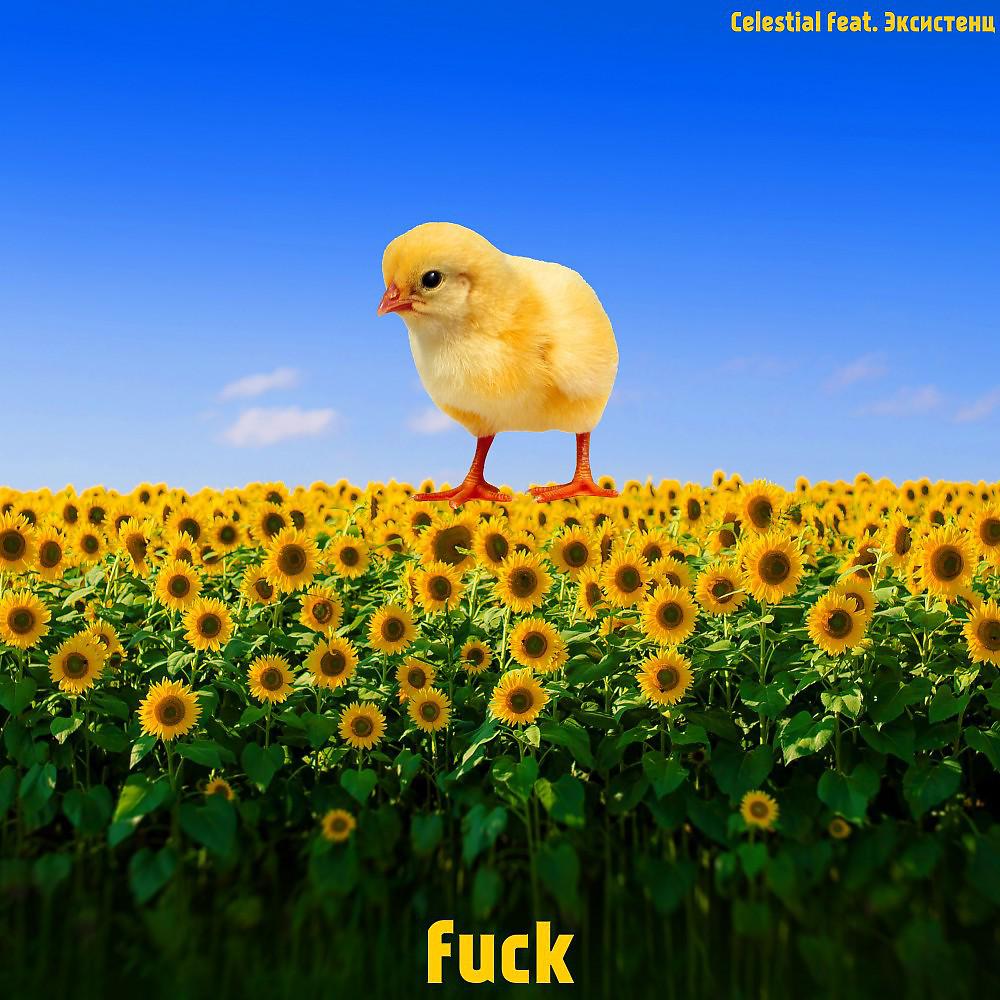 Постер альбома Fuck (Prod. By YB)