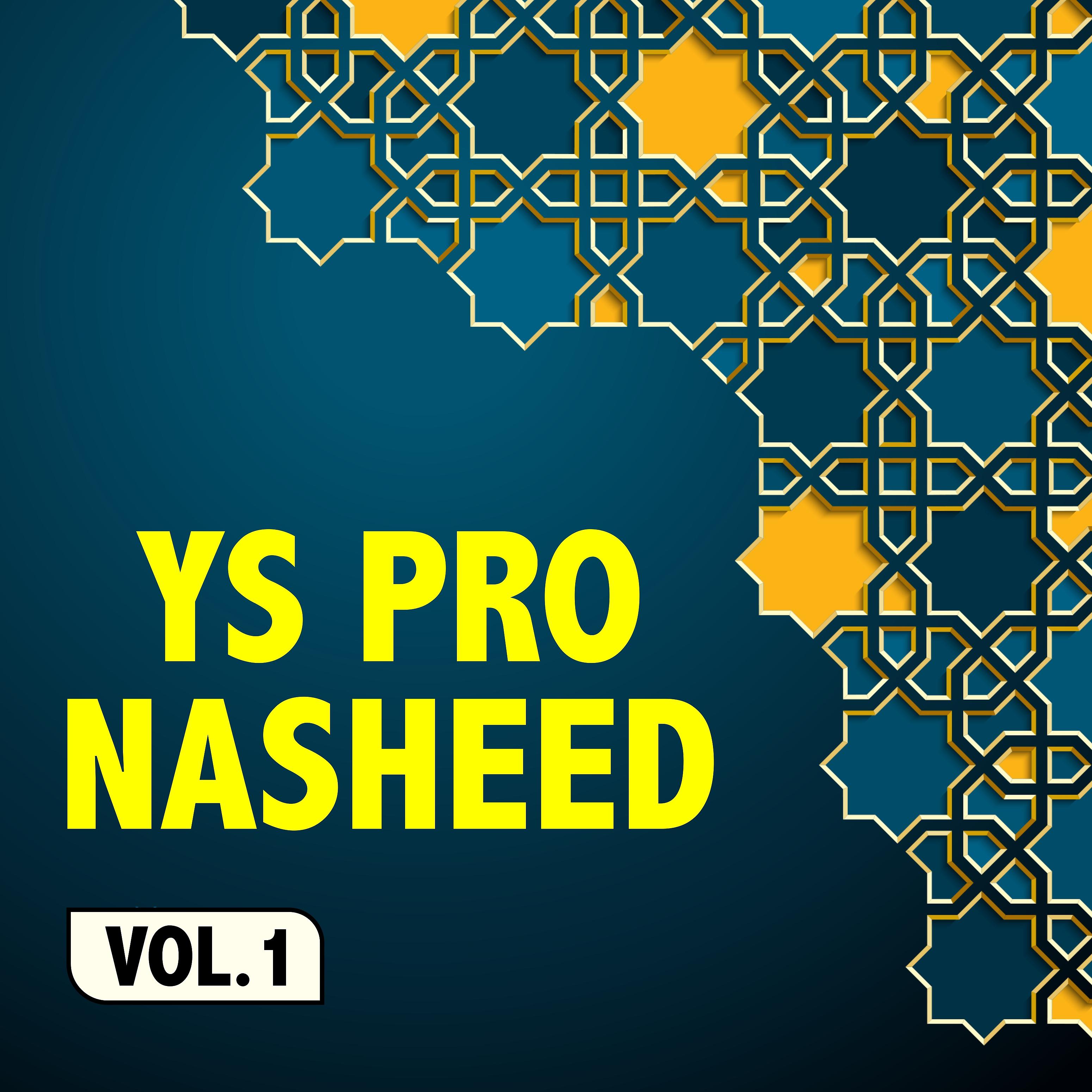 Постер альбома Ys Pro Nasheed Vol. 1