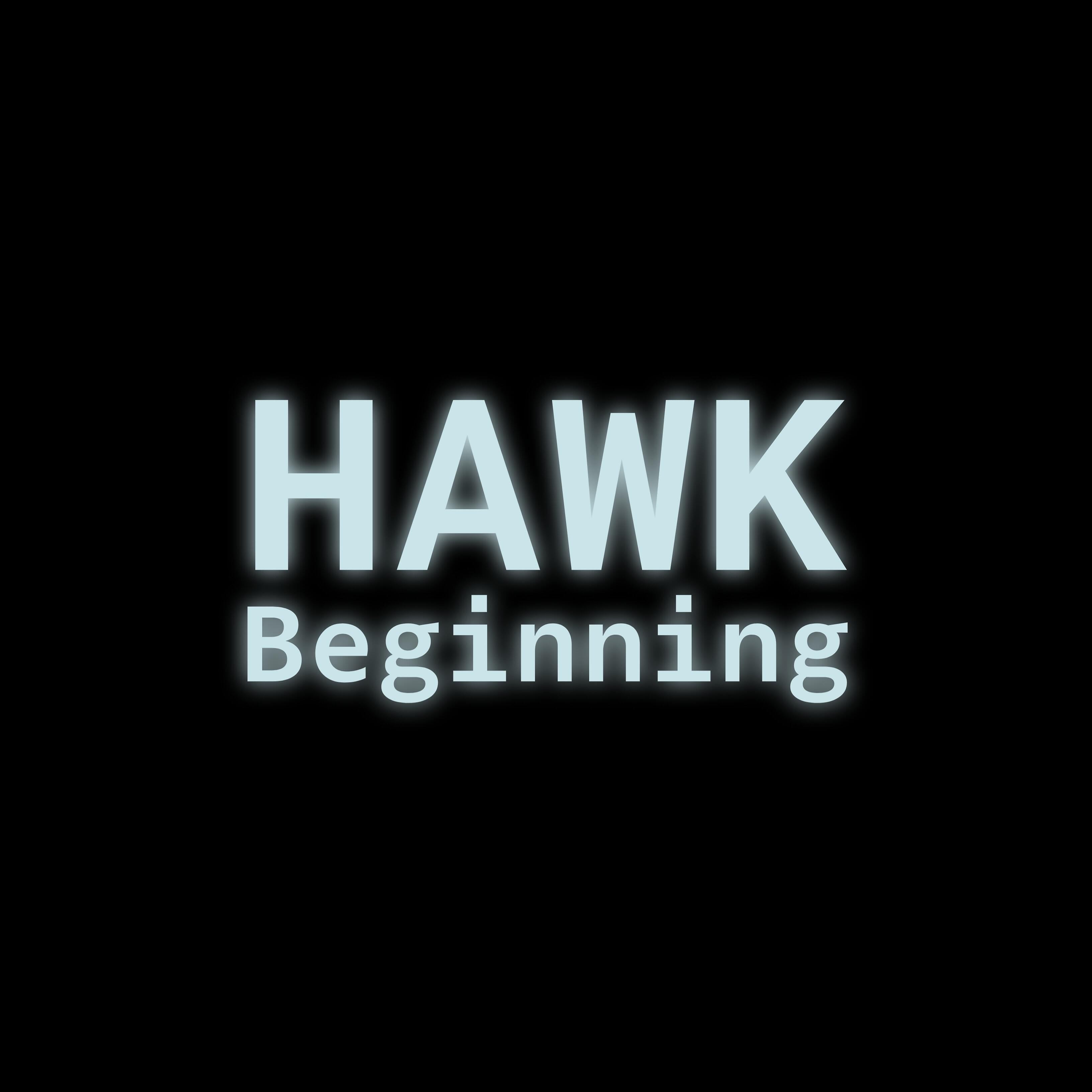 Hawk - Space