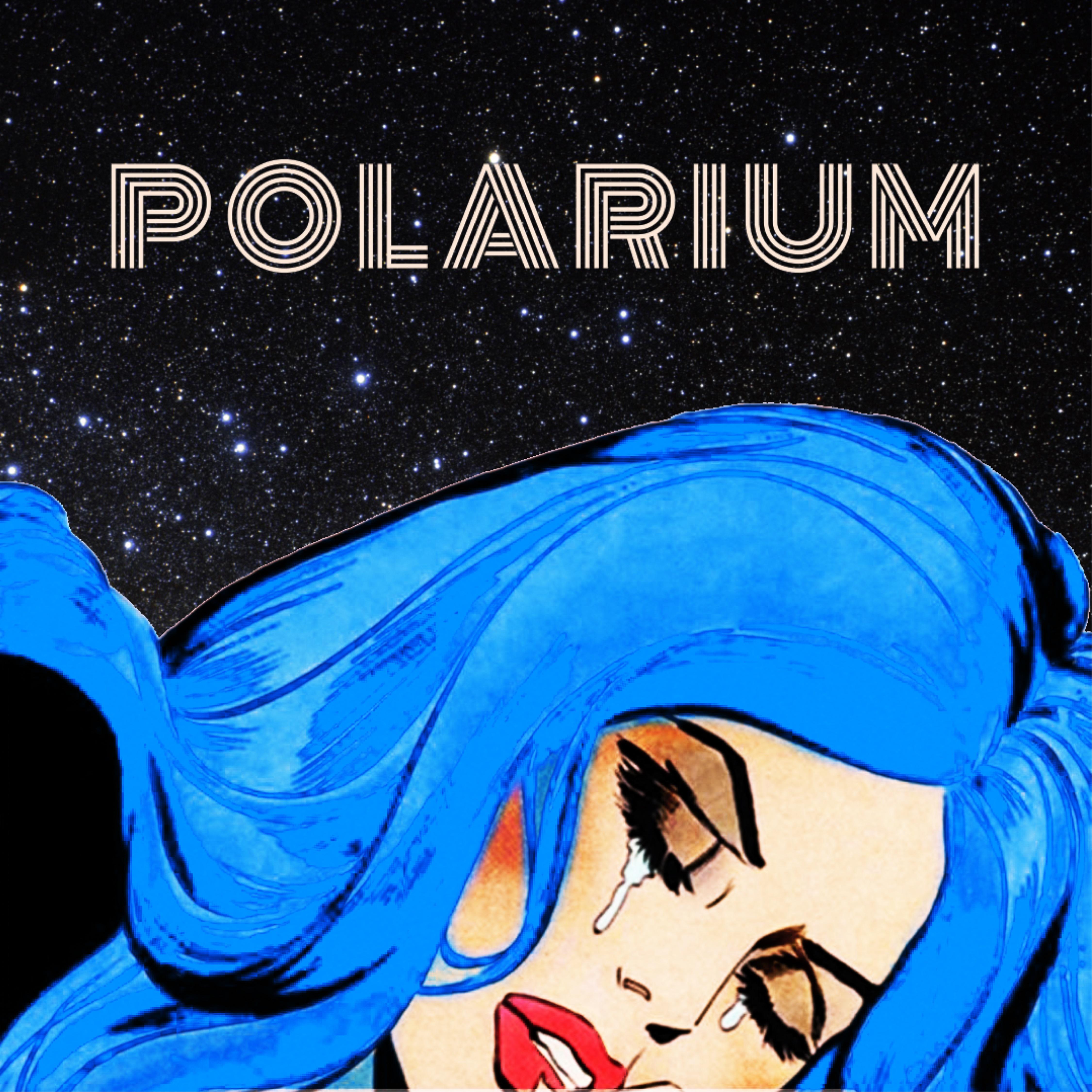 Постер альбома Polarium