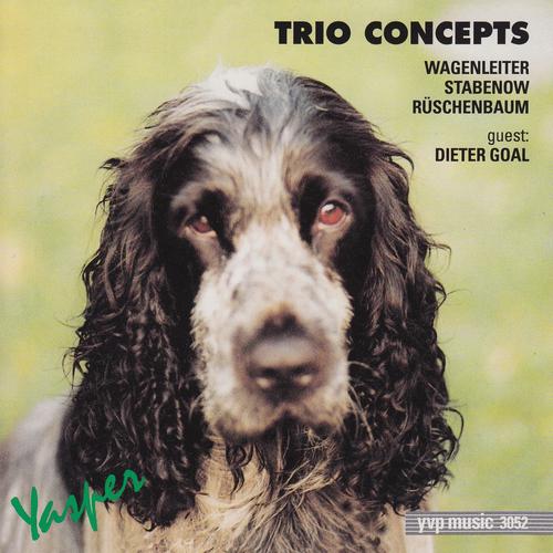 Постер альбома Trio Concepts