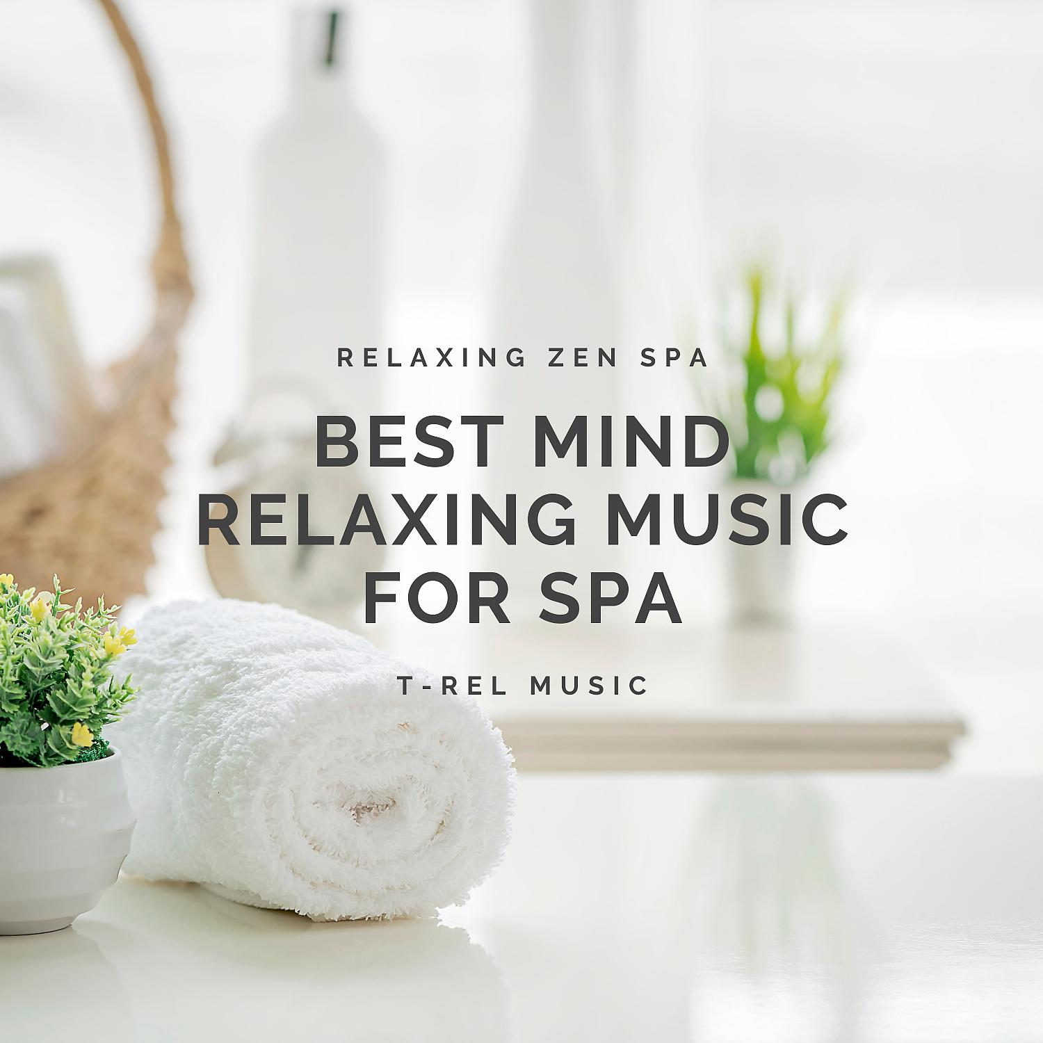 Постер альбома Best Mind Relaxing Music for Spa