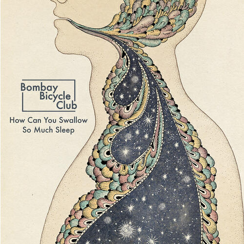 Bombay Bicycle Club - How Can You Swallow So Much Sleep