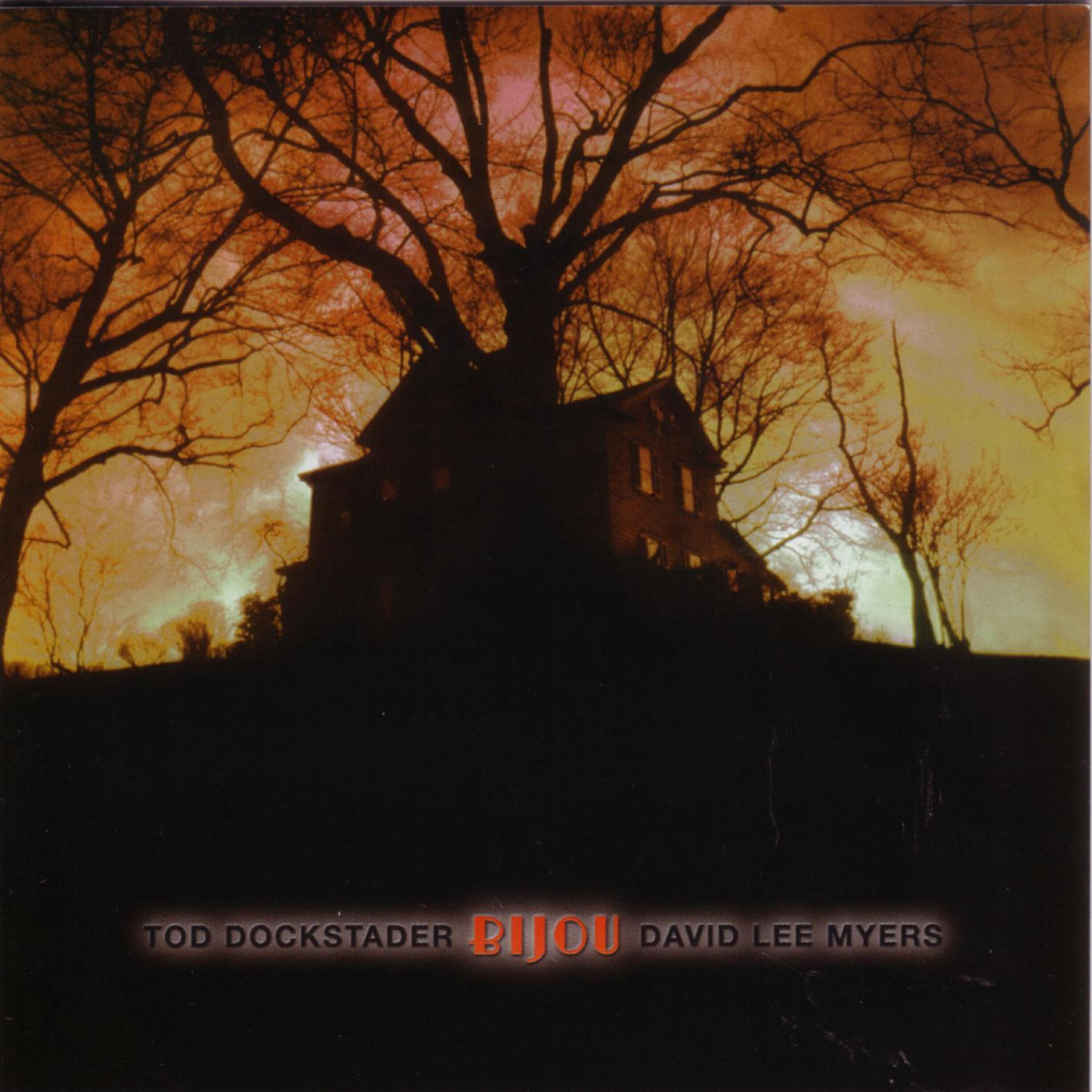 Tod Dockstader - Machine Mystique