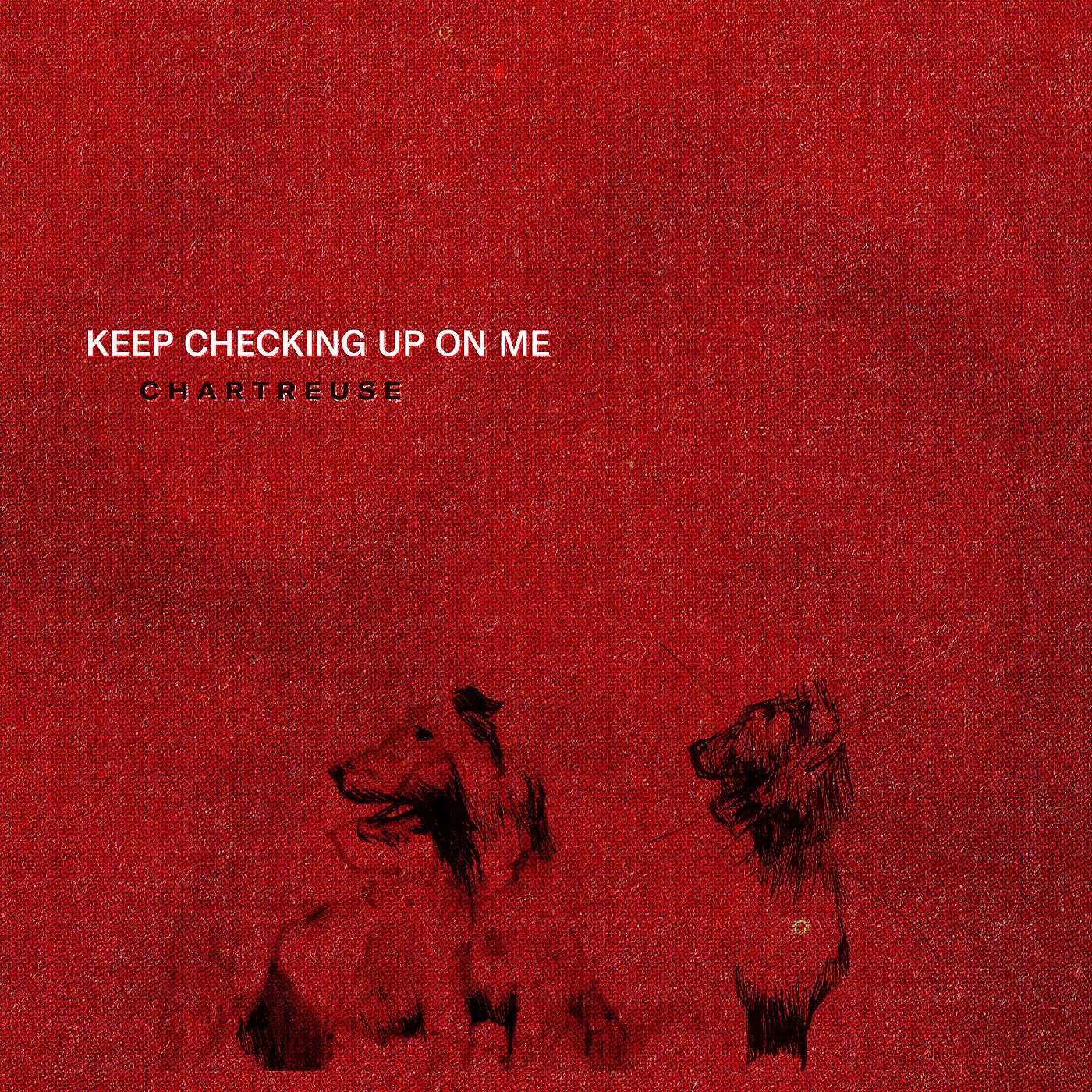 Постер альбома Keep Checking Up On Me