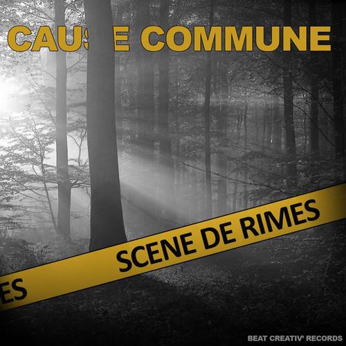 Постер альбома Scène de rimes