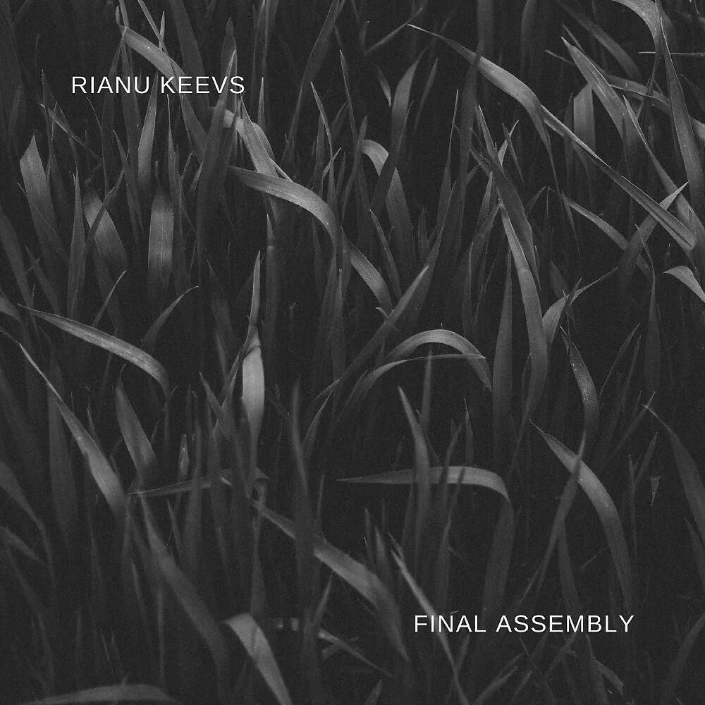 Rianu Keevs - Final Assembly (Original Mix)